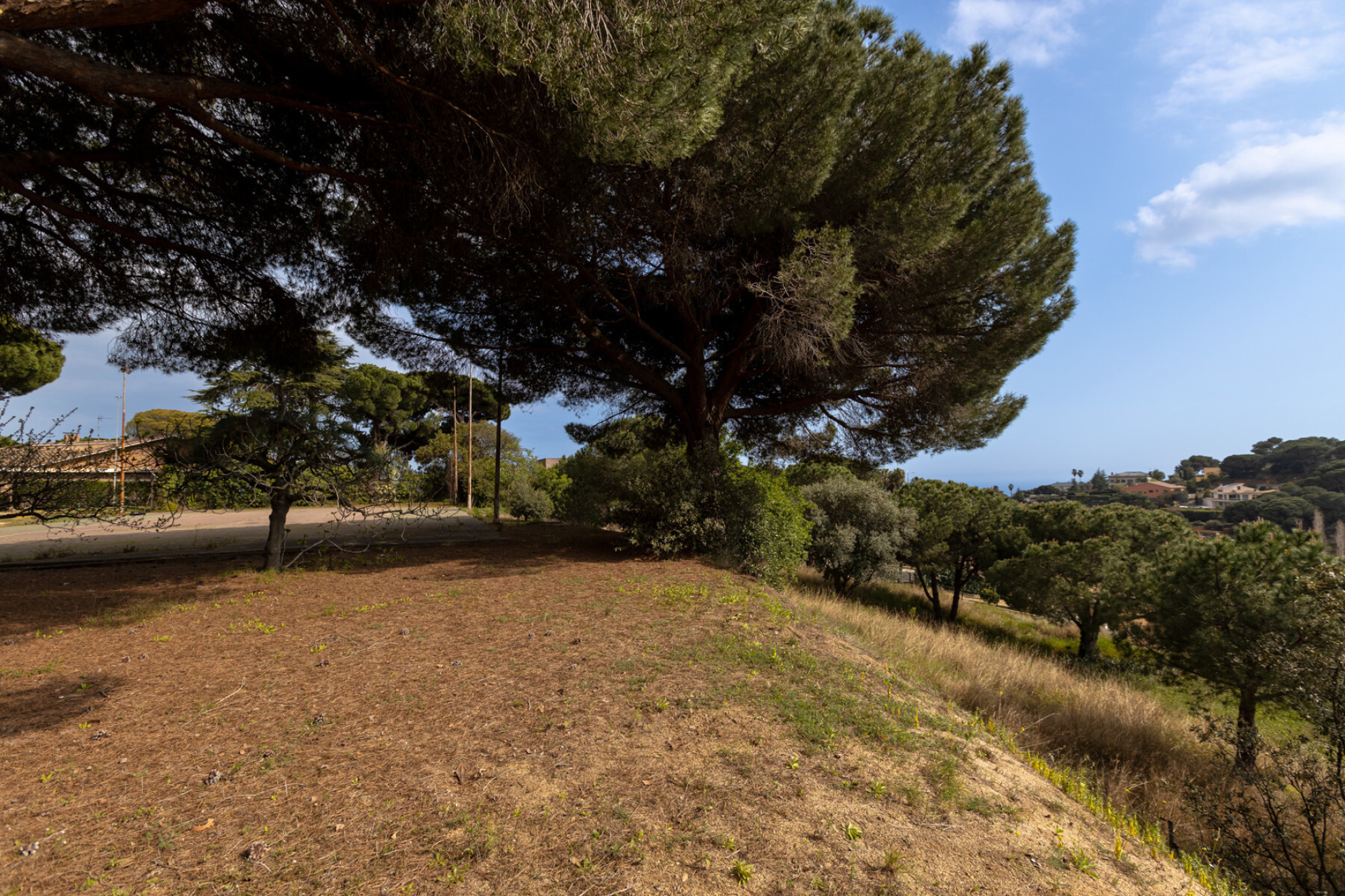  Project ?eco? house on a large plot in Sant Andreu de Llavaneres - Costa BCN - 物件實景
