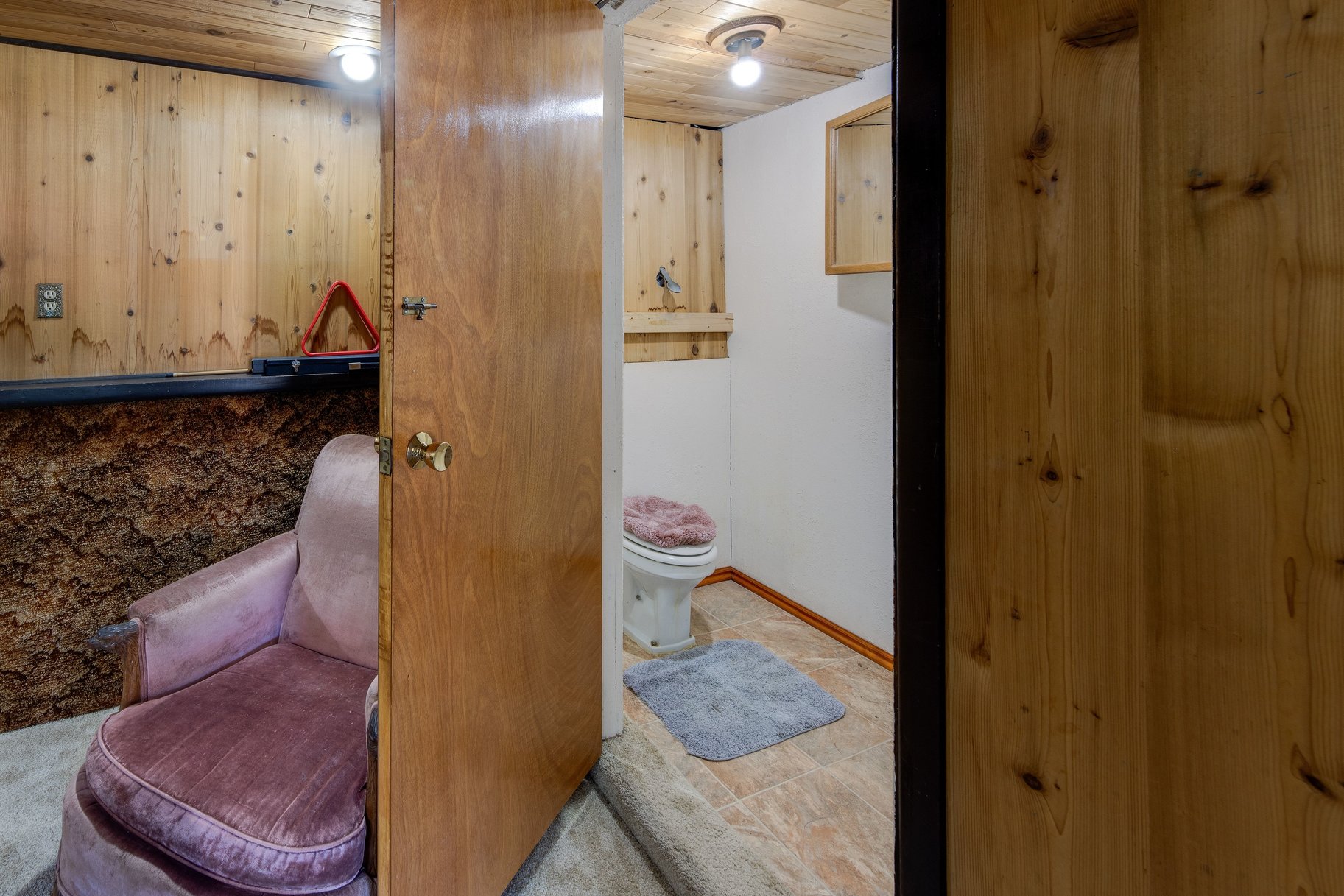  In-Town Home with Deck, Patio and Walkout Basement - 物件實景