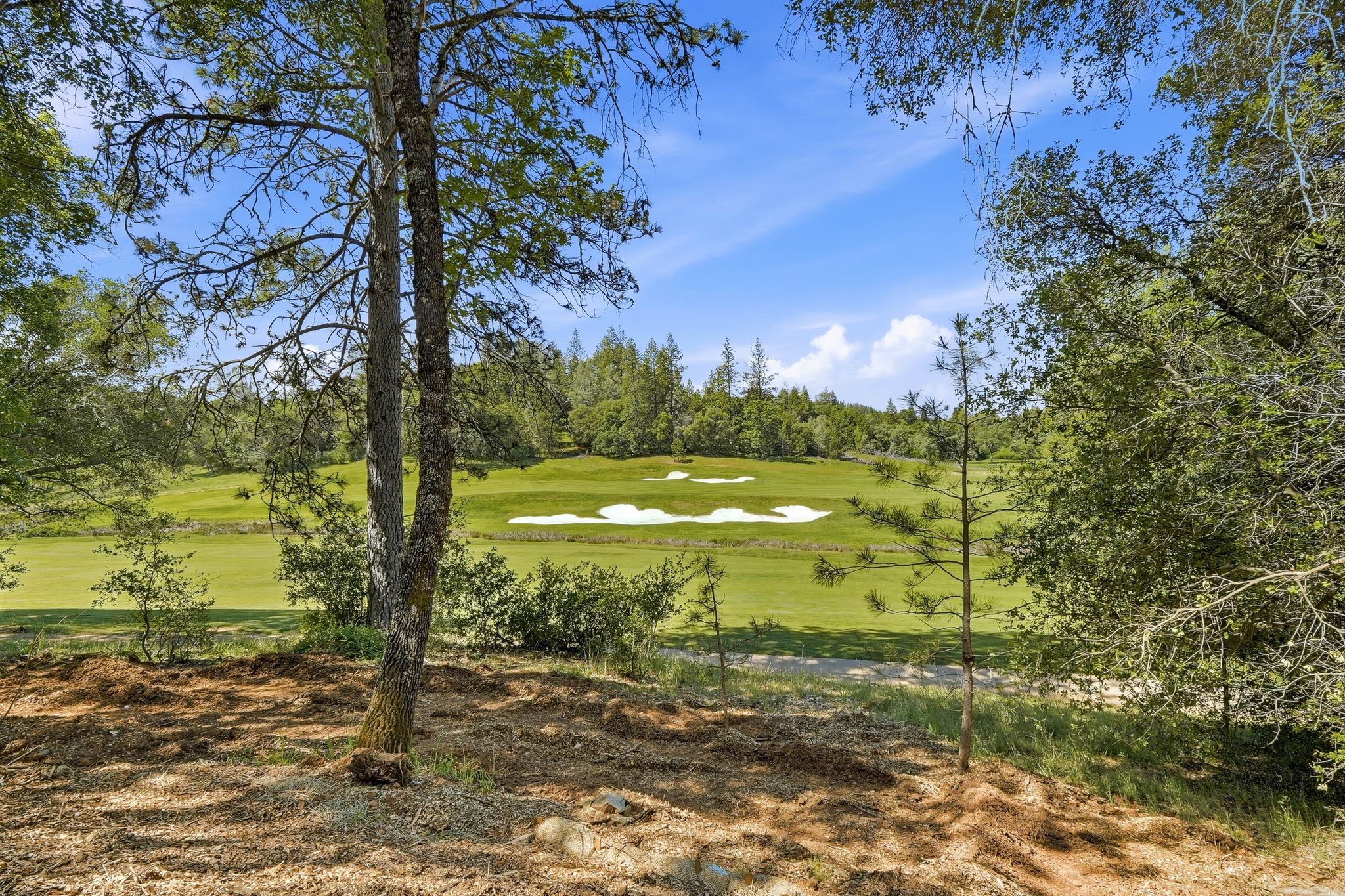  23796 Landon Evan Lane, Auburn, CA 95602 - 物件實景