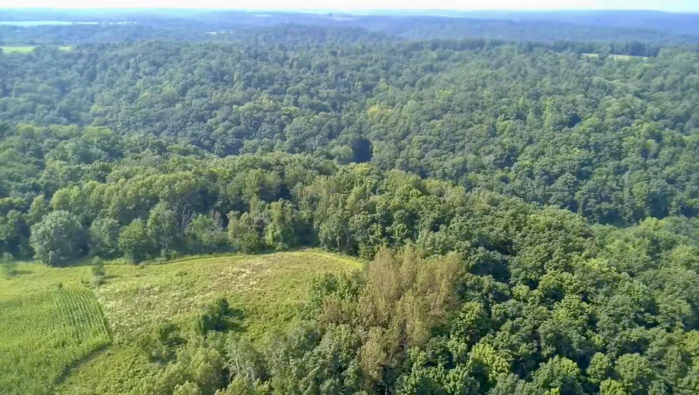 Gays Mills, Wisconsin, 54631, United States, ,Residential,For Sale,1928729