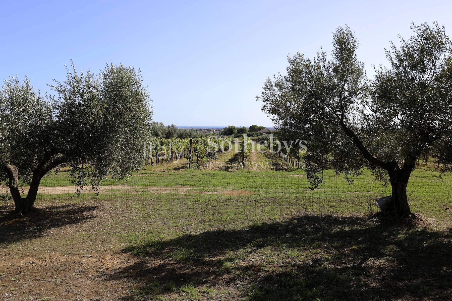  Splendid design villa with pool in Maremma - 物件實景