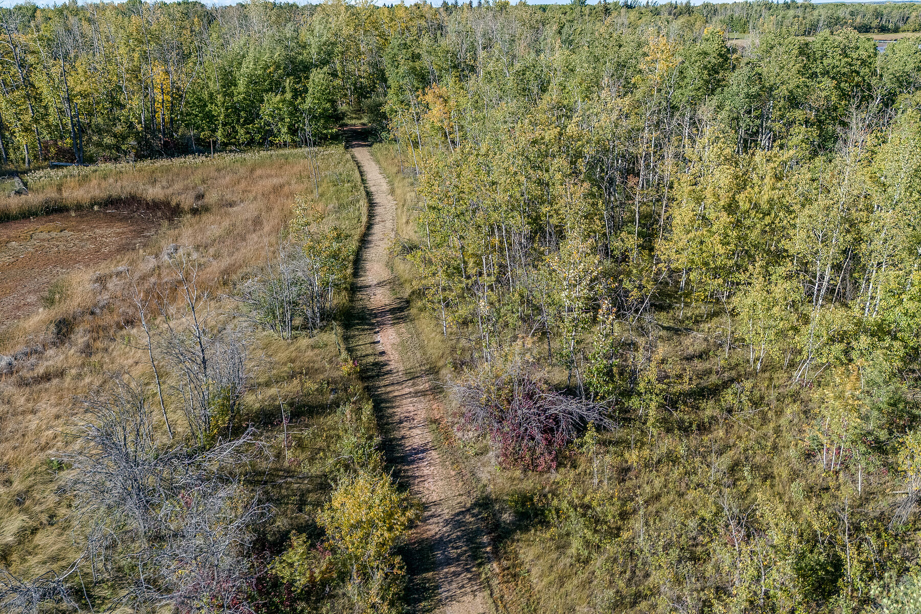  602 Pheasant Close - 物件實景