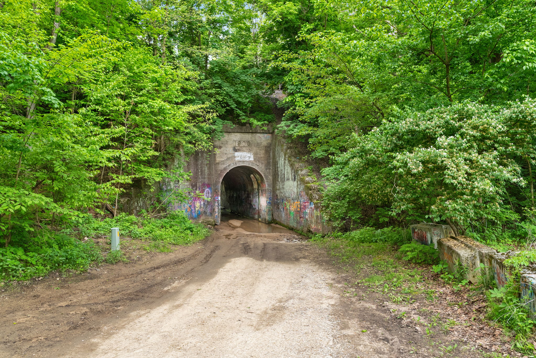 Rosedale, Indiana, 47874, United States, ,Land,For Sale,2049036