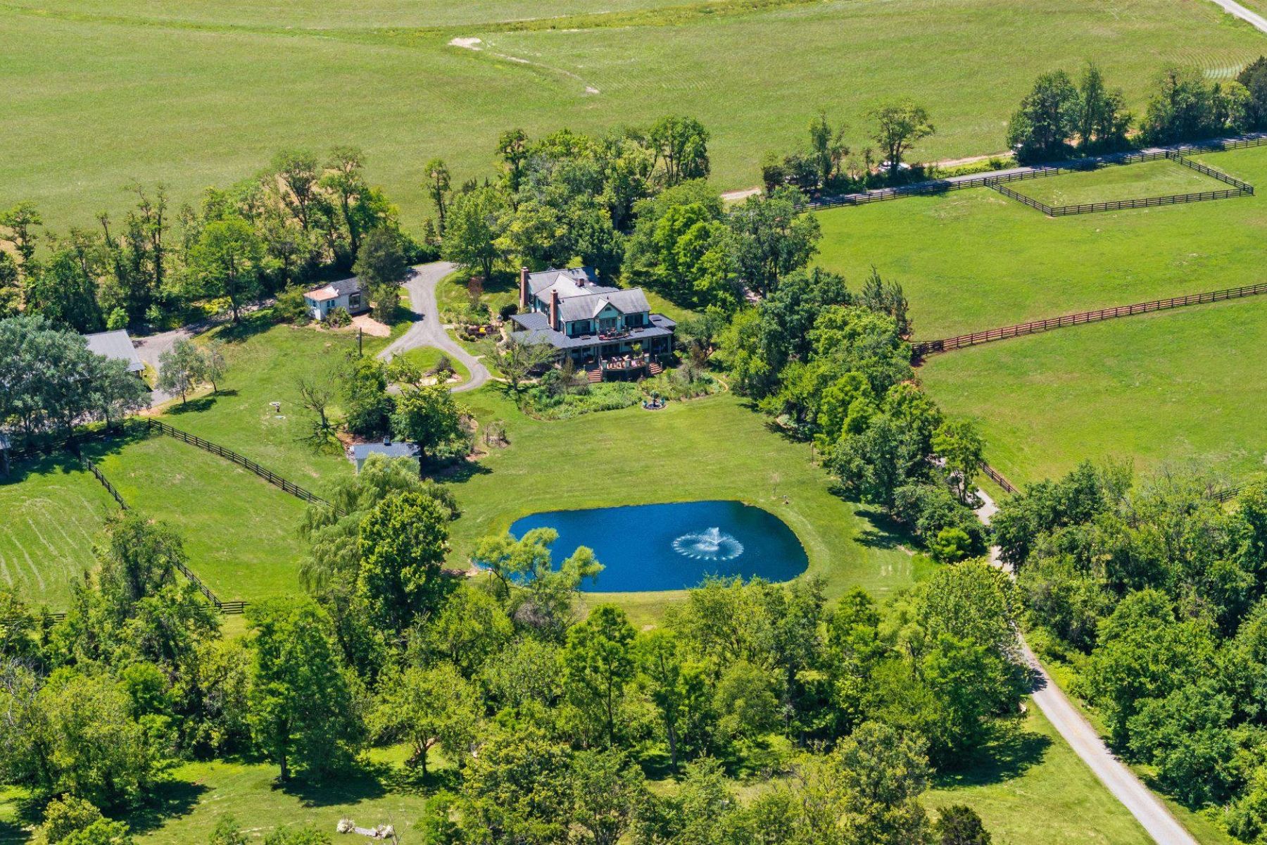  18101 Cattail Road, Poolesville, MD, 20837 - 物件實景