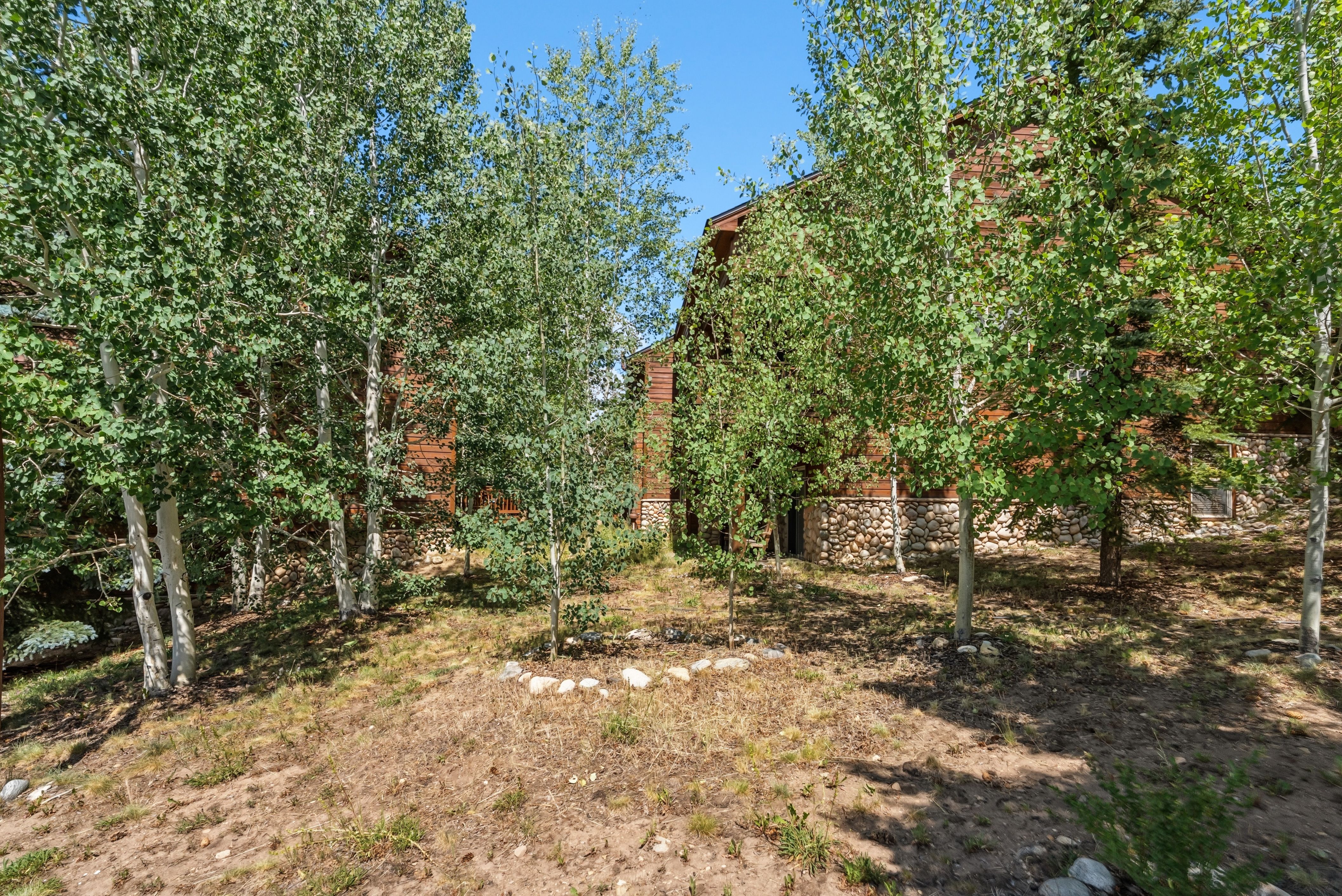  15 Lookout Ridge Drive, Dillon, CO, 80435 - 物件實景