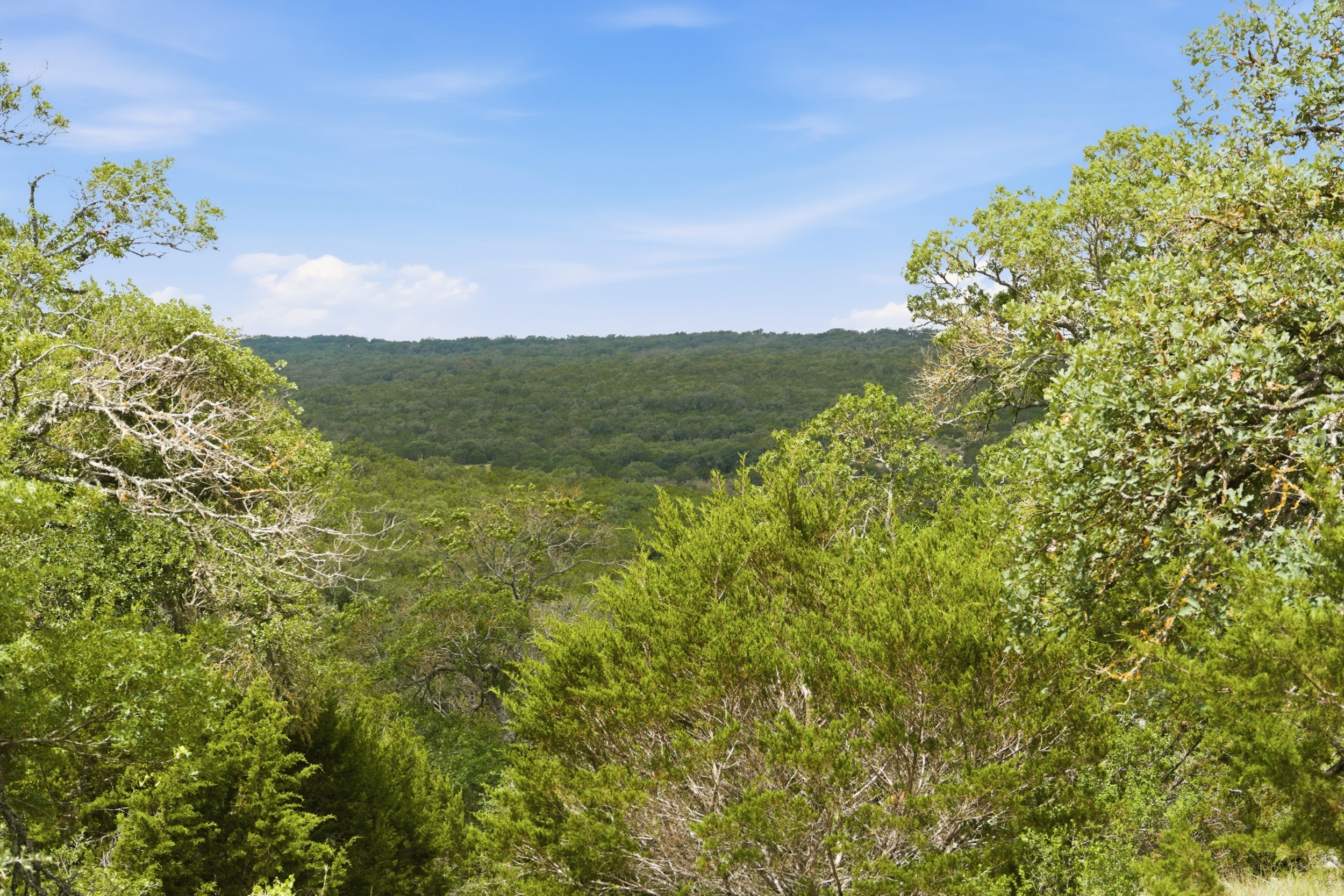  J Bar River Ranch - 物件實景