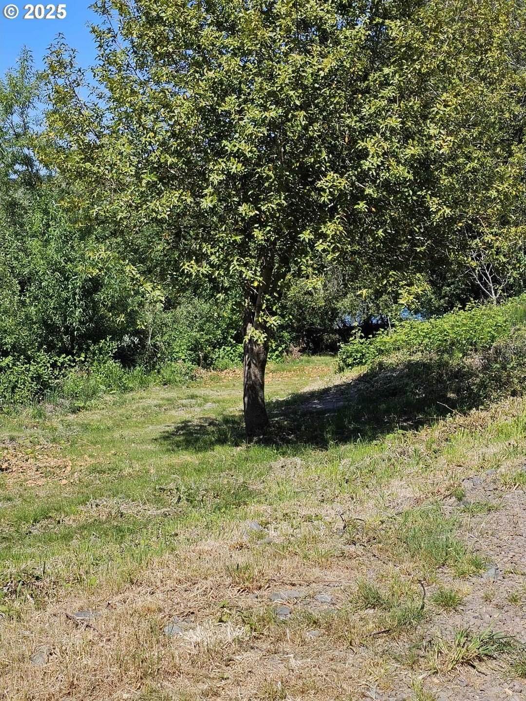 Brookings, Oregon, 97415, United States, 1 Bedroom Bedrooms, ,1 BathroomBathrooms,Residential,For Sale,1979383