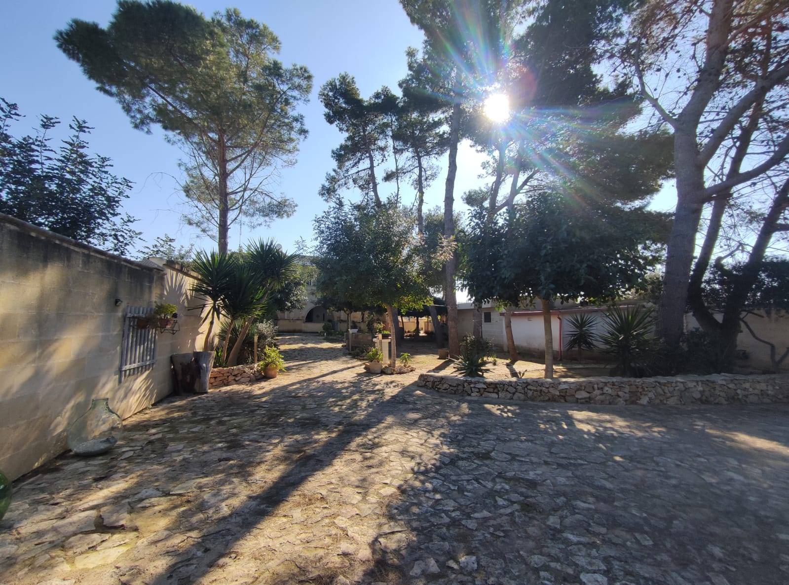 Manduria, Taranto, 74024, IT, 6 Bedrooms Bedrooms, ,5 BathroomsBathrooms,Residential,For Sale,1728528