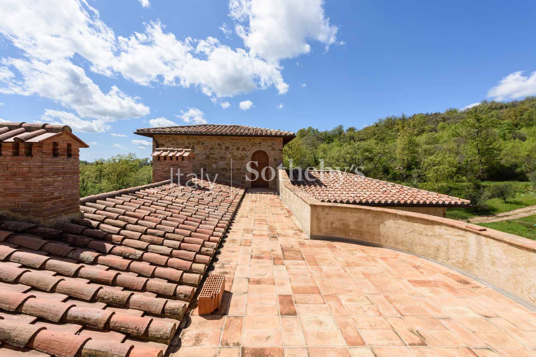  Fascinating property with vineyards and olive groves - 物件實景