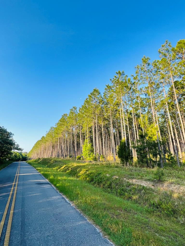 Cordele, Georgia, 31015, United States, ,Residential,For Sale,1982733