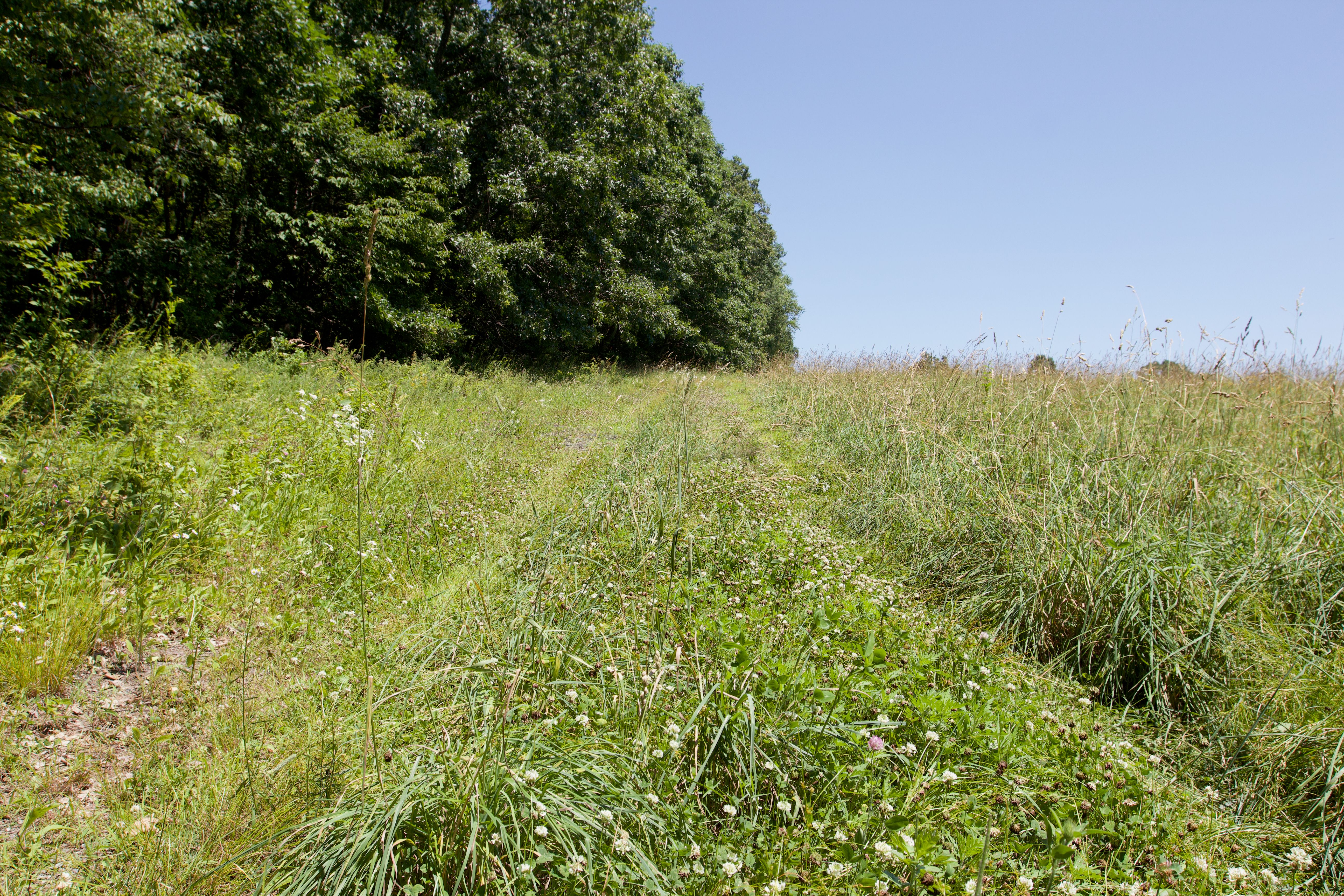  90 West End Road, Hillsdale, NY 12529 - 物件實景