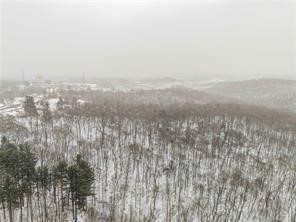 Coraopolis, Pennsylvania, 15108, United States, ,Residential,For Sale,2007819