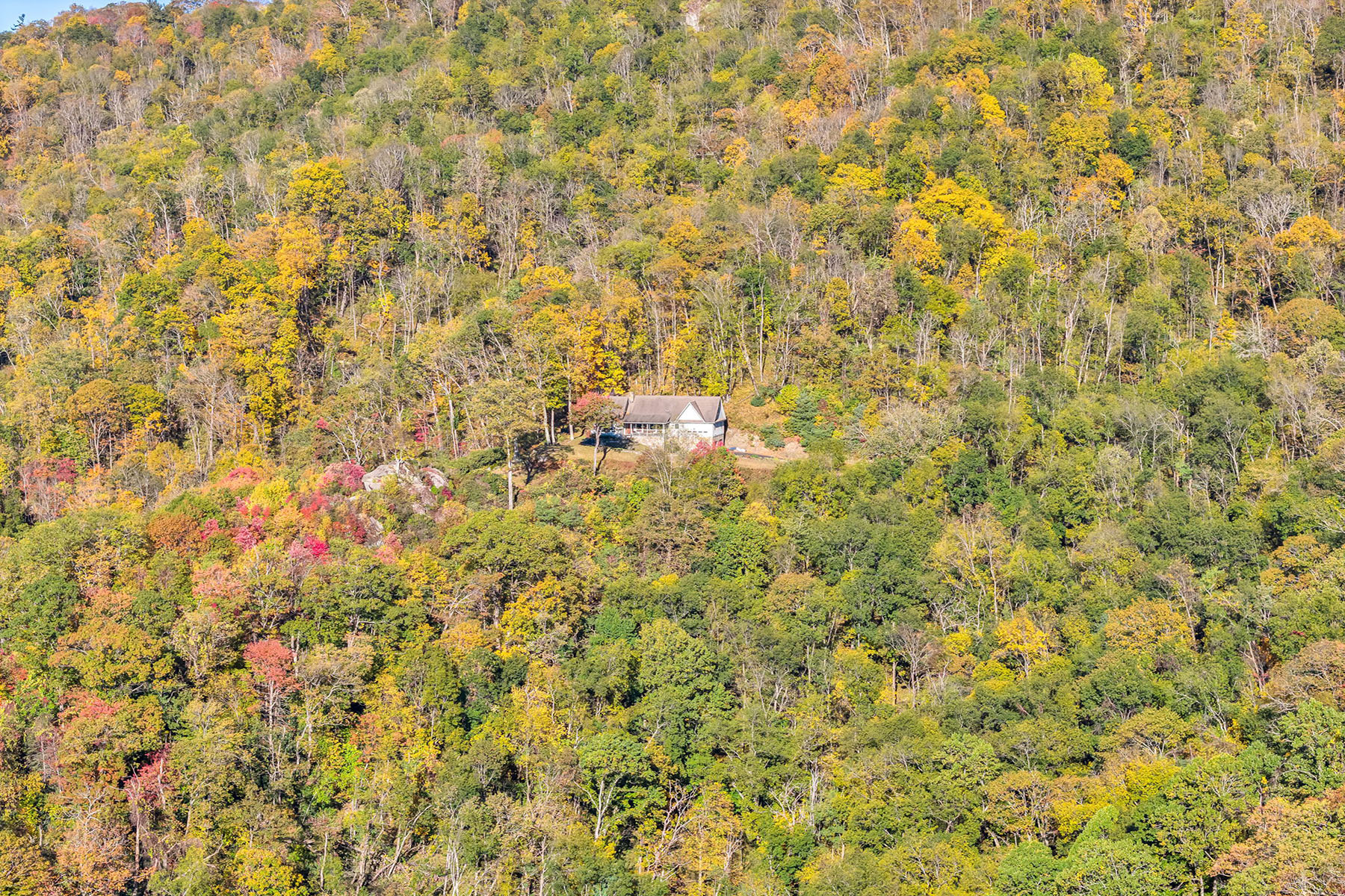  LENOIR - TIMBER RIDGE ESTATES - 物件實景