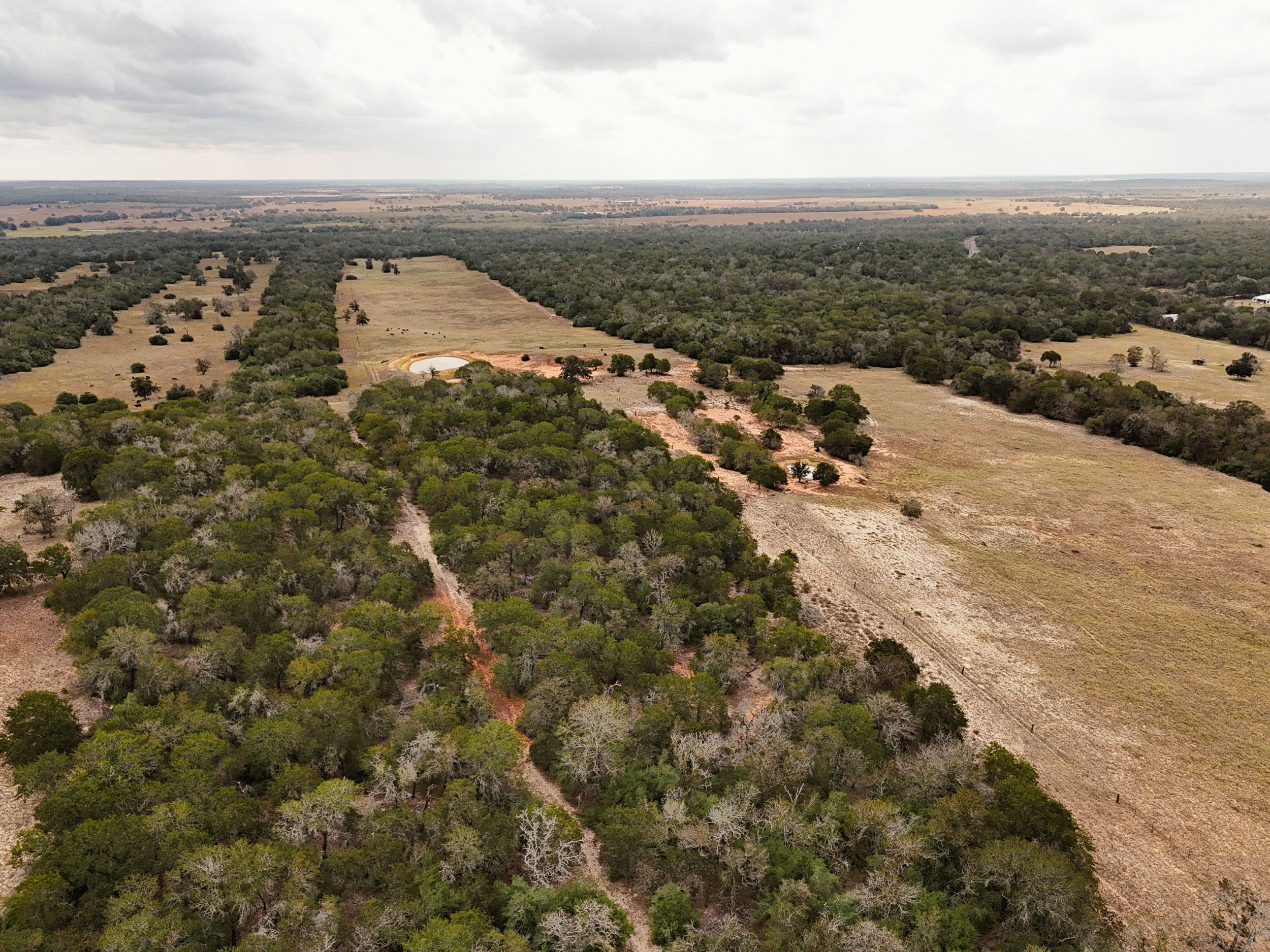  860+/- Acre PQR Ranch in Gonzales County - 物件實景