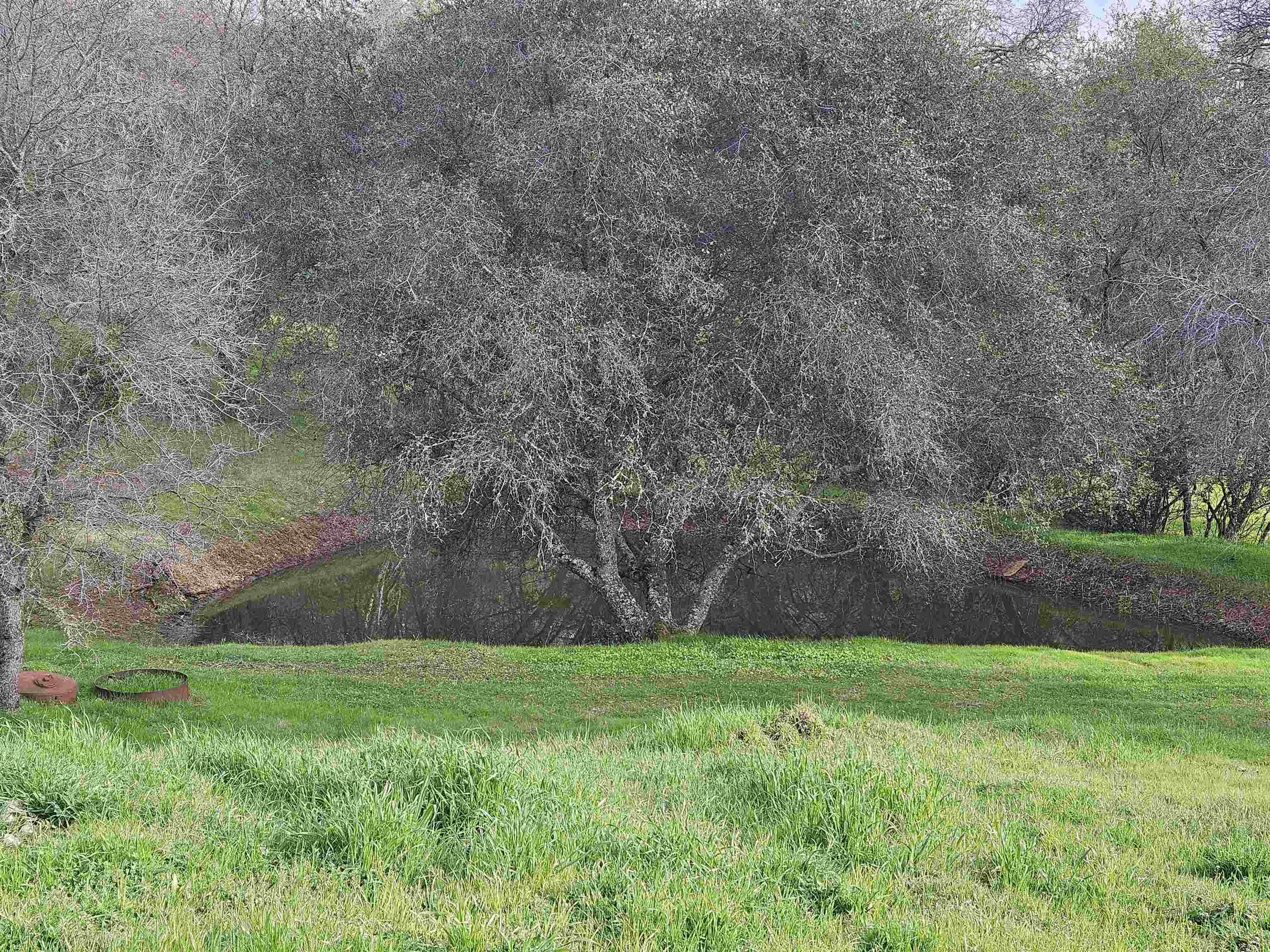 Shingle Springs, California, 95682, United States, 6 Bedrooms Bedrooms, ,2 BathroomsBathrooms,Residential,For Sale,2009241