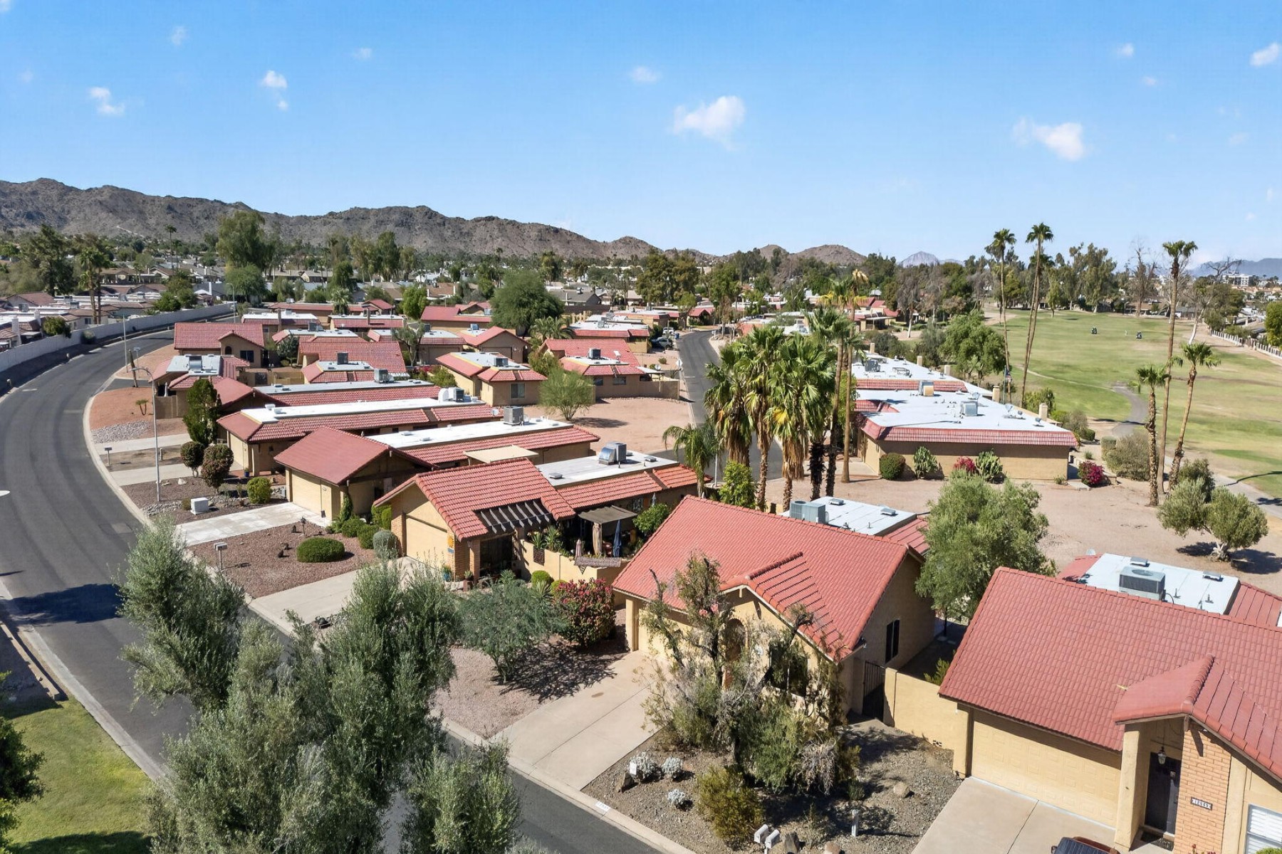  12037 S Half Moon Drive  Phoenix, AZ - 物件實景