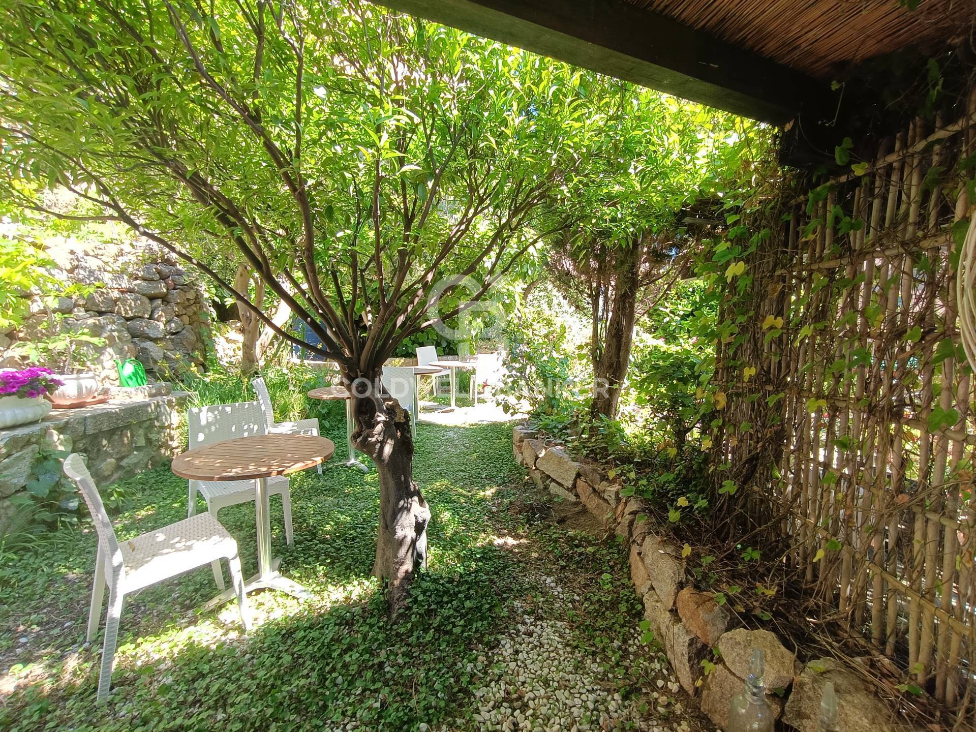 Via Thaon de Revel, Isola del Giglio, Grosseto, 58012, IT, 2 Bedrooms Bedrooms, ,2 BathroomsBathrooms,Residential,For Sale,Via Thaon de Revel,1673234