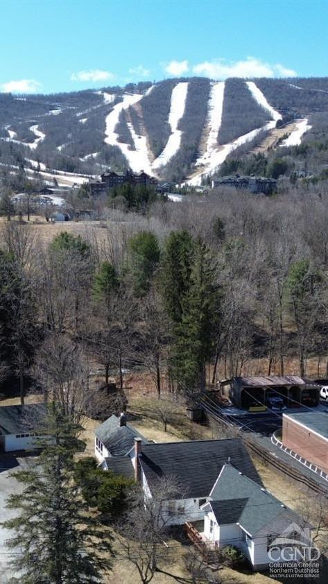 Windham, New York, 12496, United States, 4 Bedrooms Bedrooms, ,4 BathroomsBathrooms,Residential,For Sale,1777401