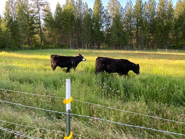 Deer Park, Washington, 99006, United States, 4 Bedrooms Bedrooms, ,3 BathroomsBathrooms,Residential,For Sale,1992007