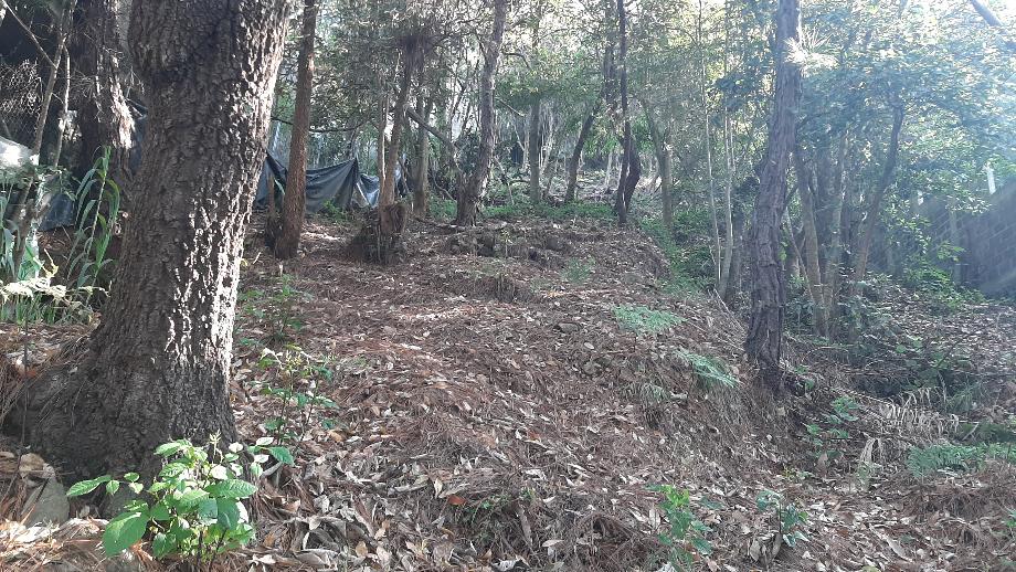 Valle de Bravo, Estado de méxico, 51200, Mexico, 1 Bedroom Bedrooms, ,Residential,For Sale,1721509