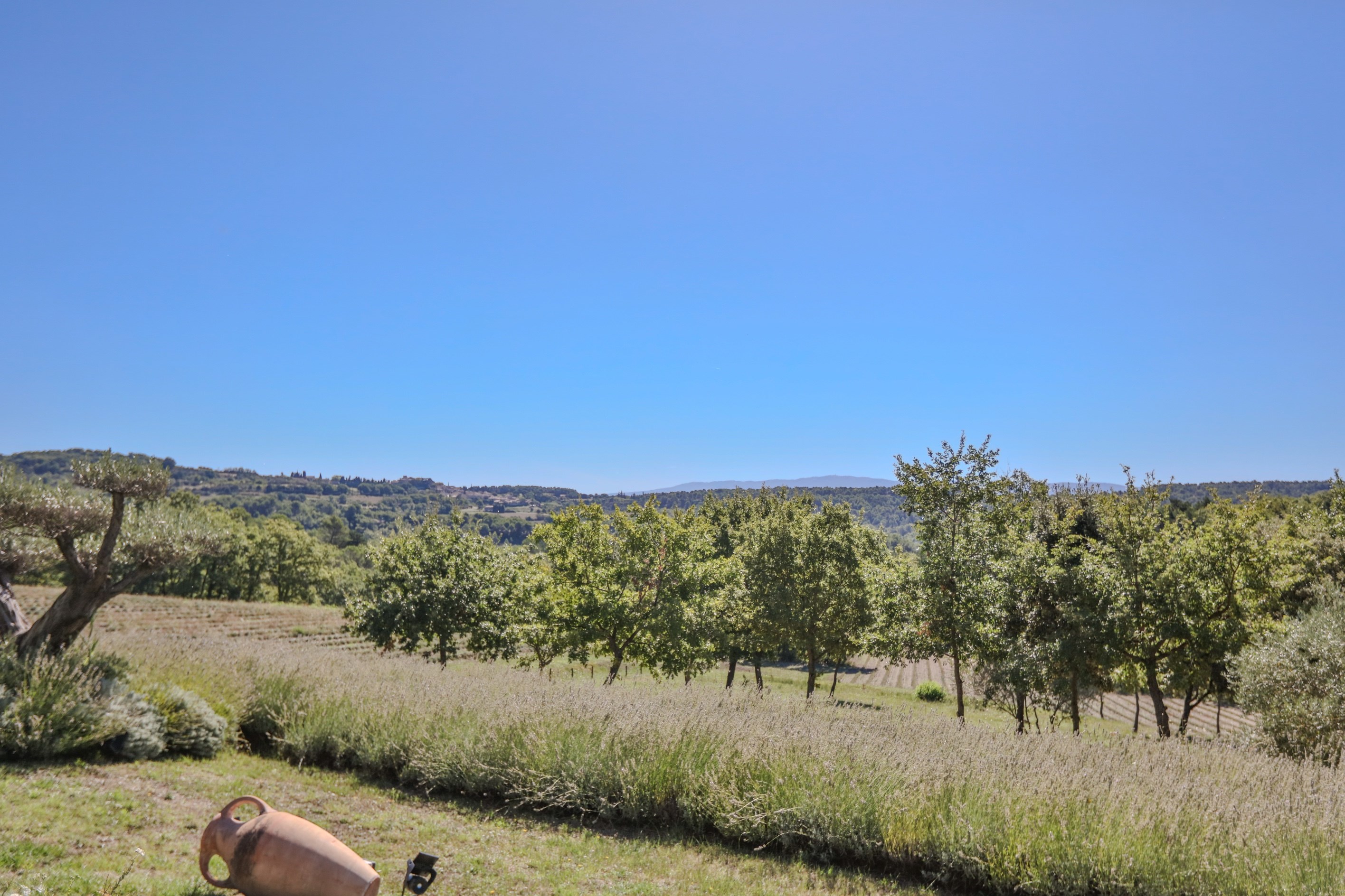  A Private Sanctuary in the Heart of the Luberon - 物件實景