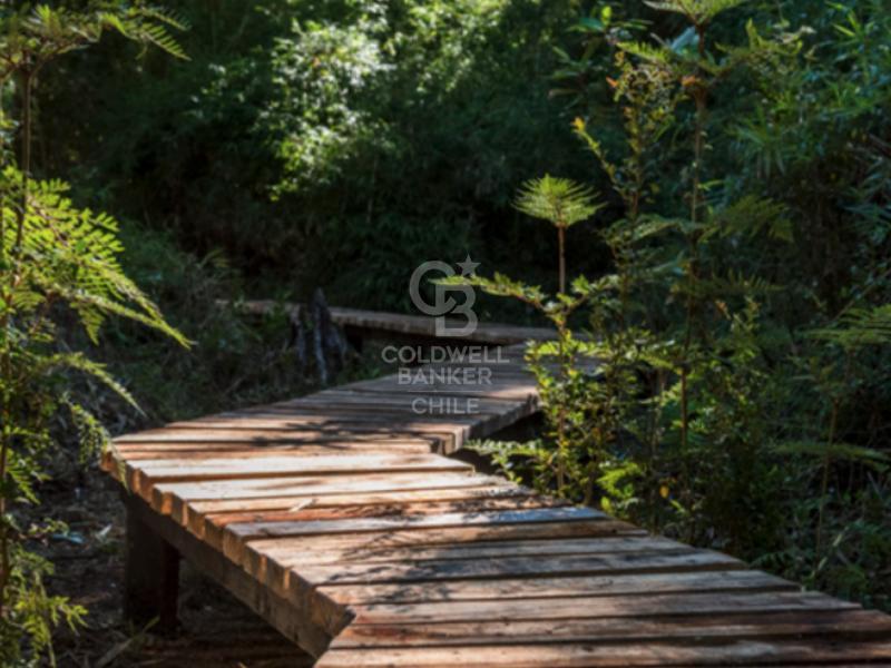 Frutillar, Chile, 3 Bedrooms Bedrooms, ,2 BathroomsBathrooms,Residential,For Sale,1972539