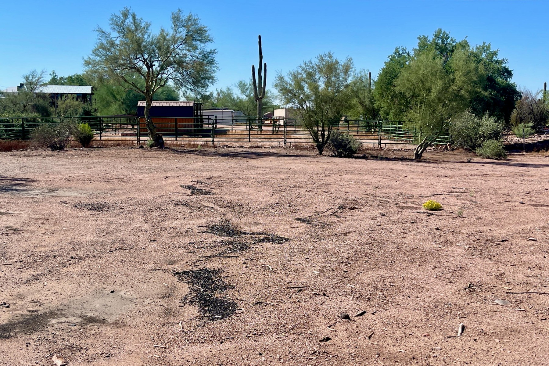  52 E Scenic (geronimo) Street¦Apache Junction, AZ - 物件實景