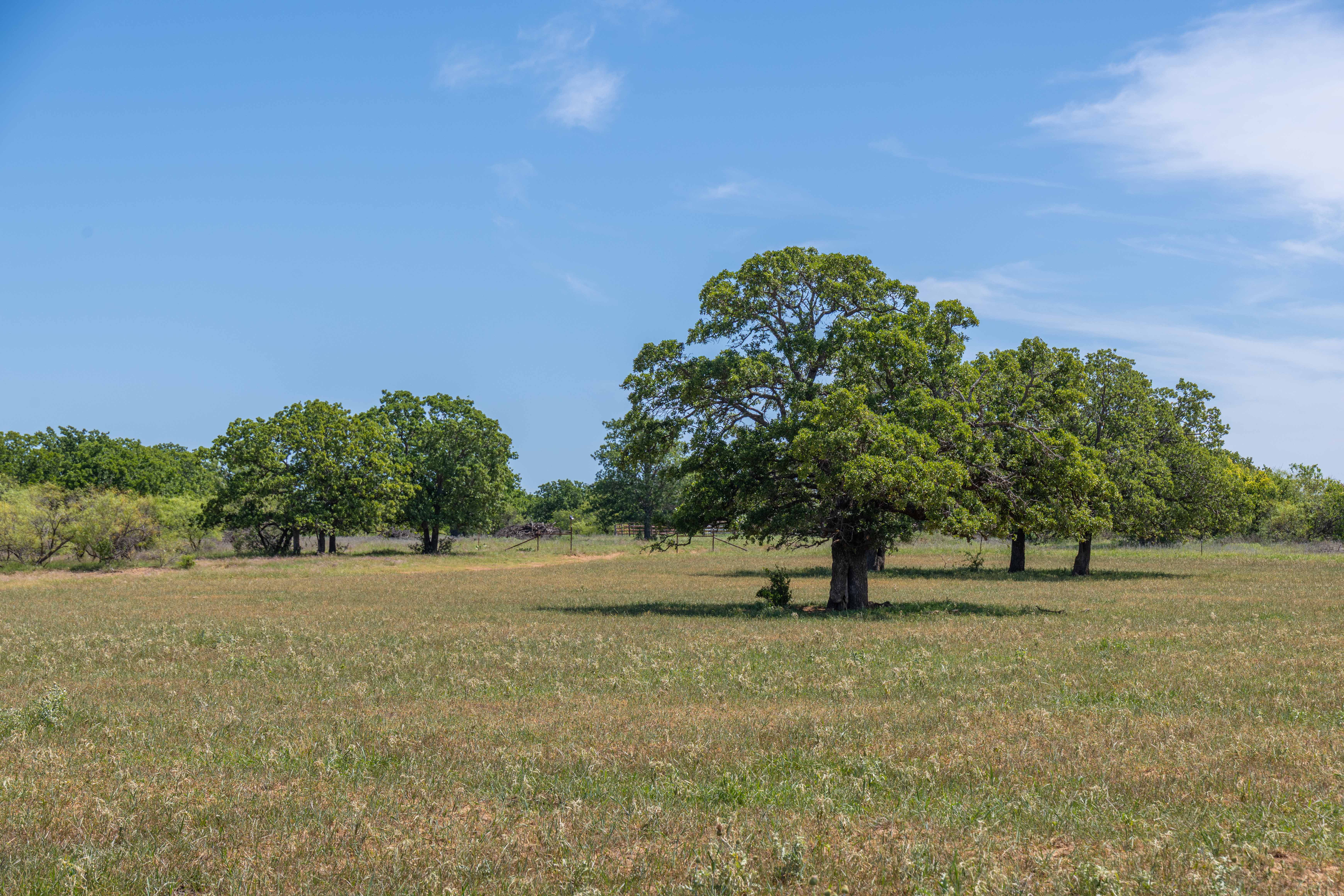  7582 Fm 2652, Loving, TX, 76460 - 物件實景