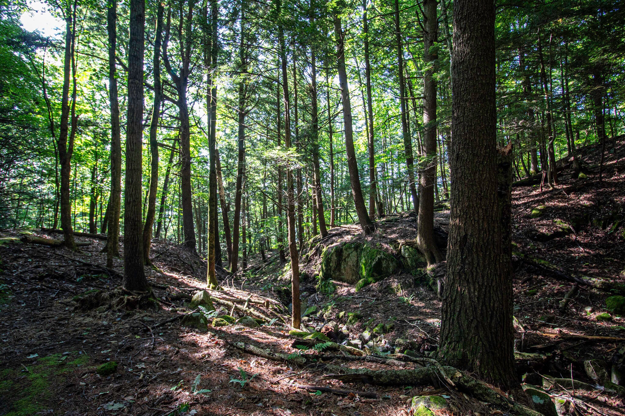 735 Highland Road, Keeseville, New York, 12944, United States, 2 Bedrooms Bedrooms, ,2 BathroomsBathrooms,Residential,For Sale,735 Highland Road,1587579