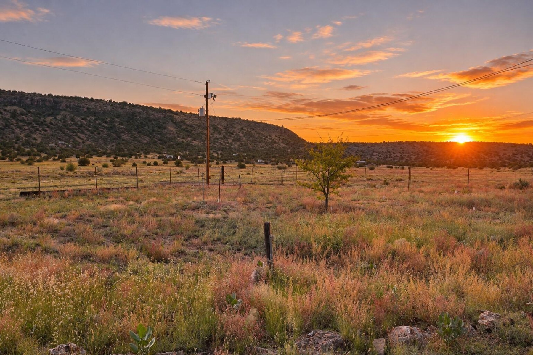  54515 N Sundown Way¦Seligman, AZ - 物件實景