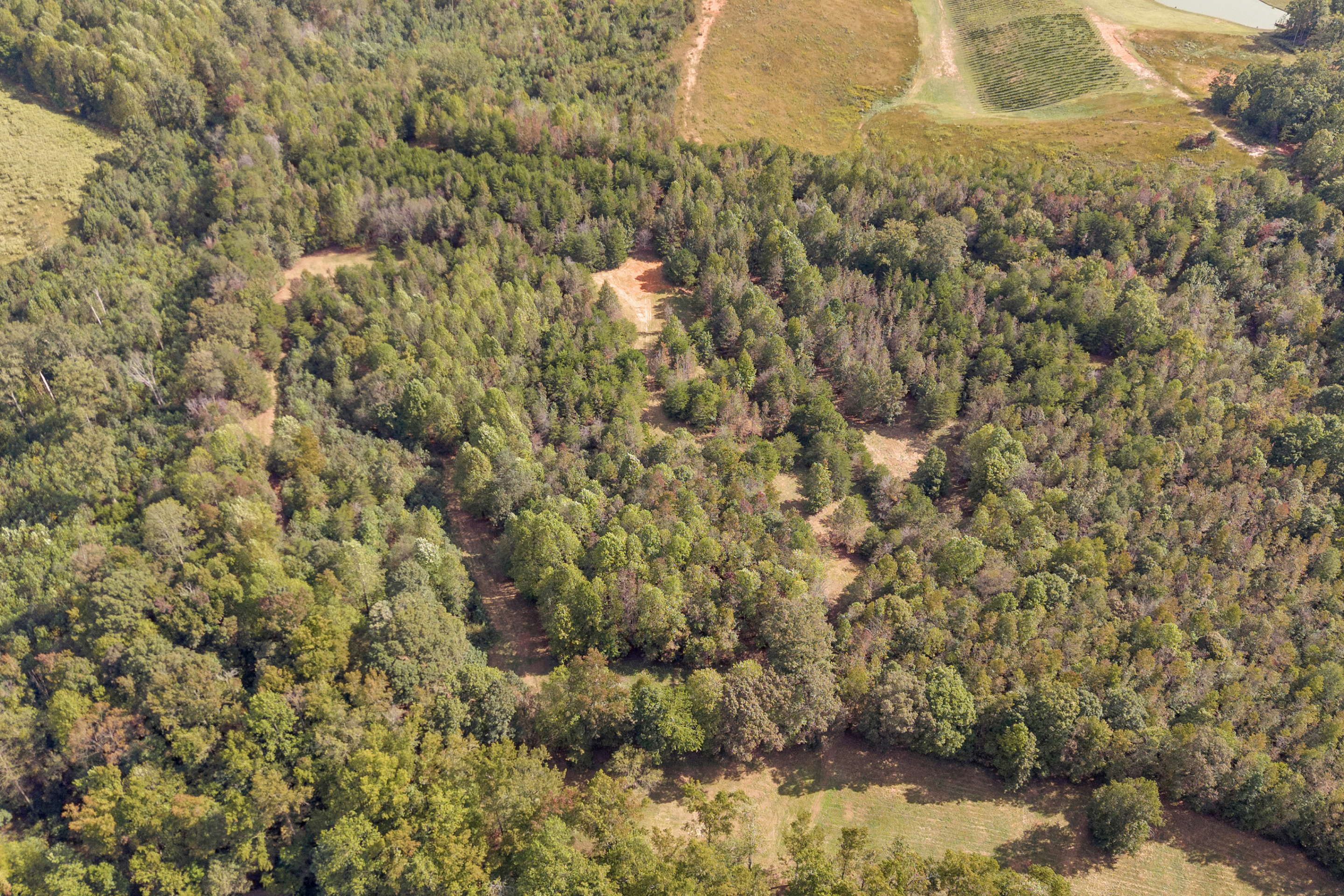 Cleveland, Georgia, 30528, United States, 3 Bedrooms Bedrooms, ,2 BathroomsBathrooms,Residential,For Sale,1979350