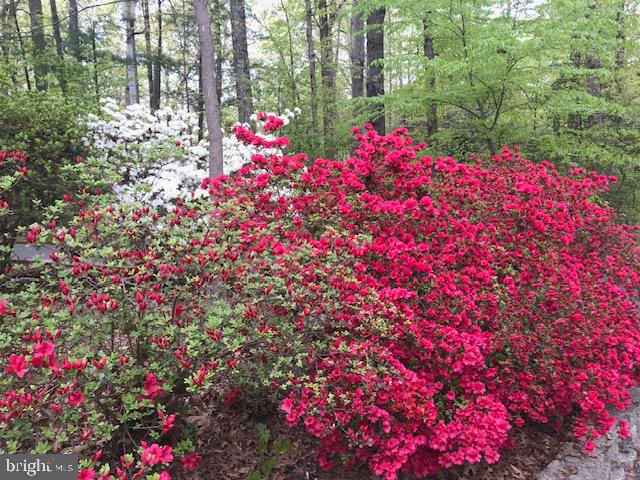 Manassas, Virginia, 20112, United States, 4 Bedrooms Bedrooms, ,3 BathroomsBathrooms,Residential,For Sale,1977190