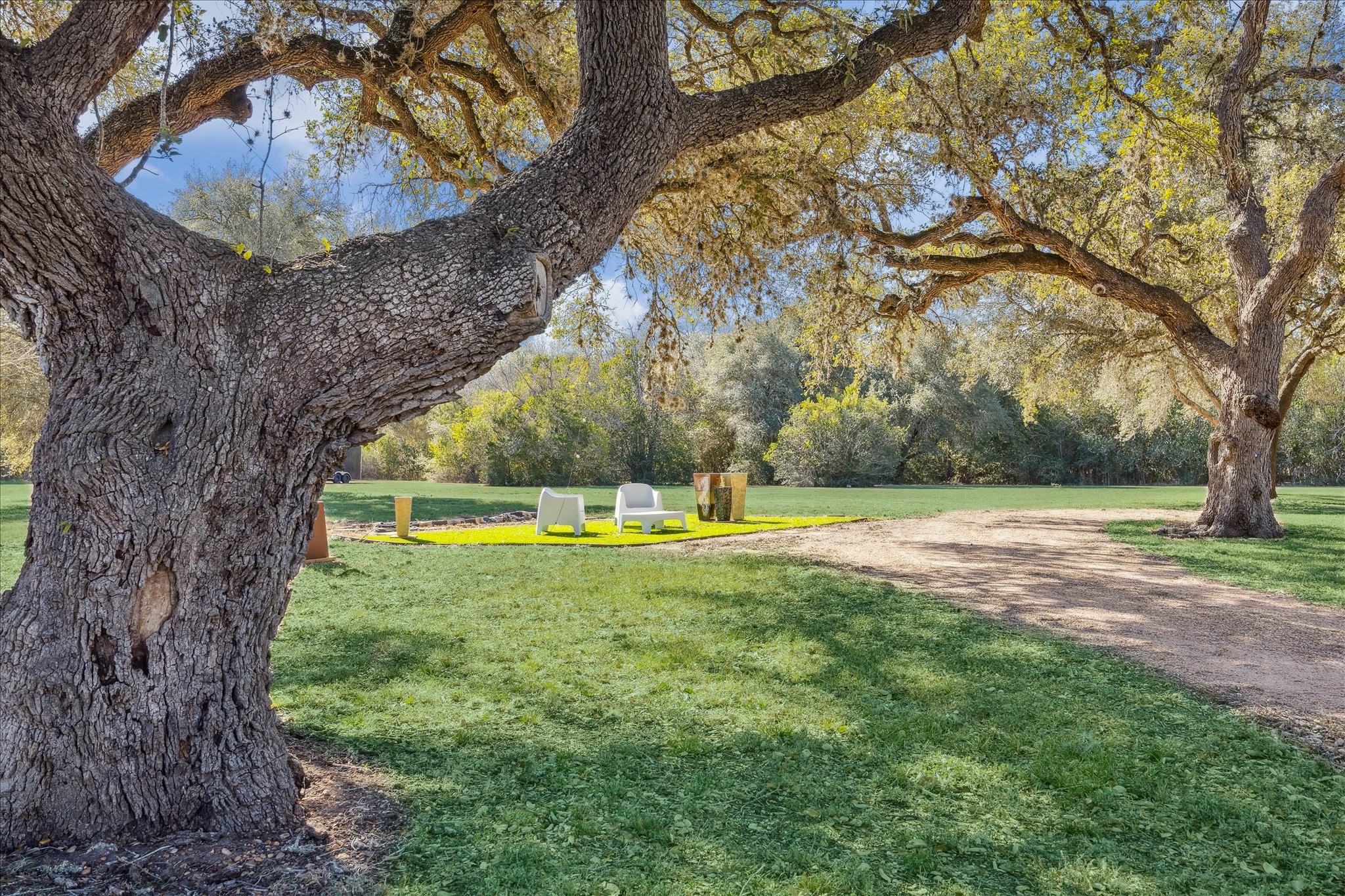  509 N Live Oak Street - 物件實景
