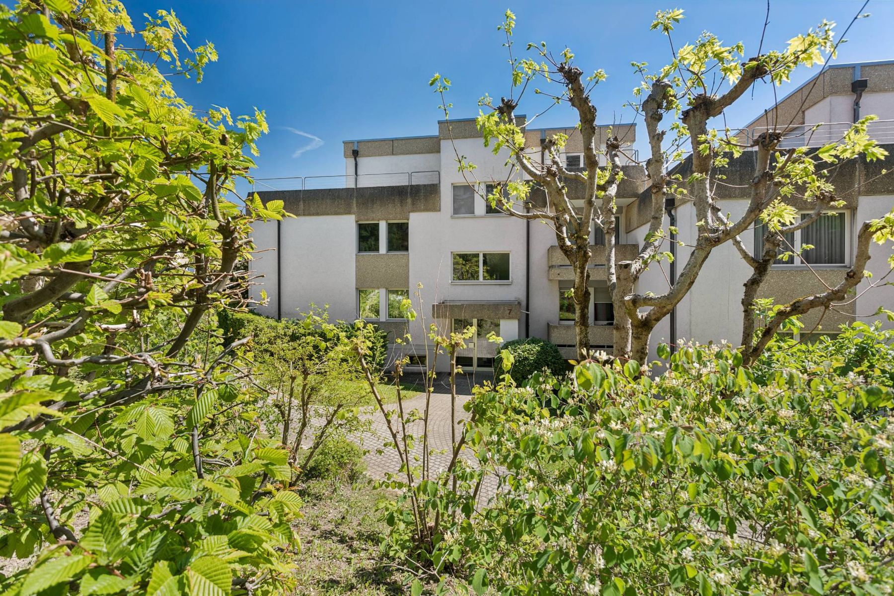  Magnificent renovated 4.5-room apartment - 物件實景