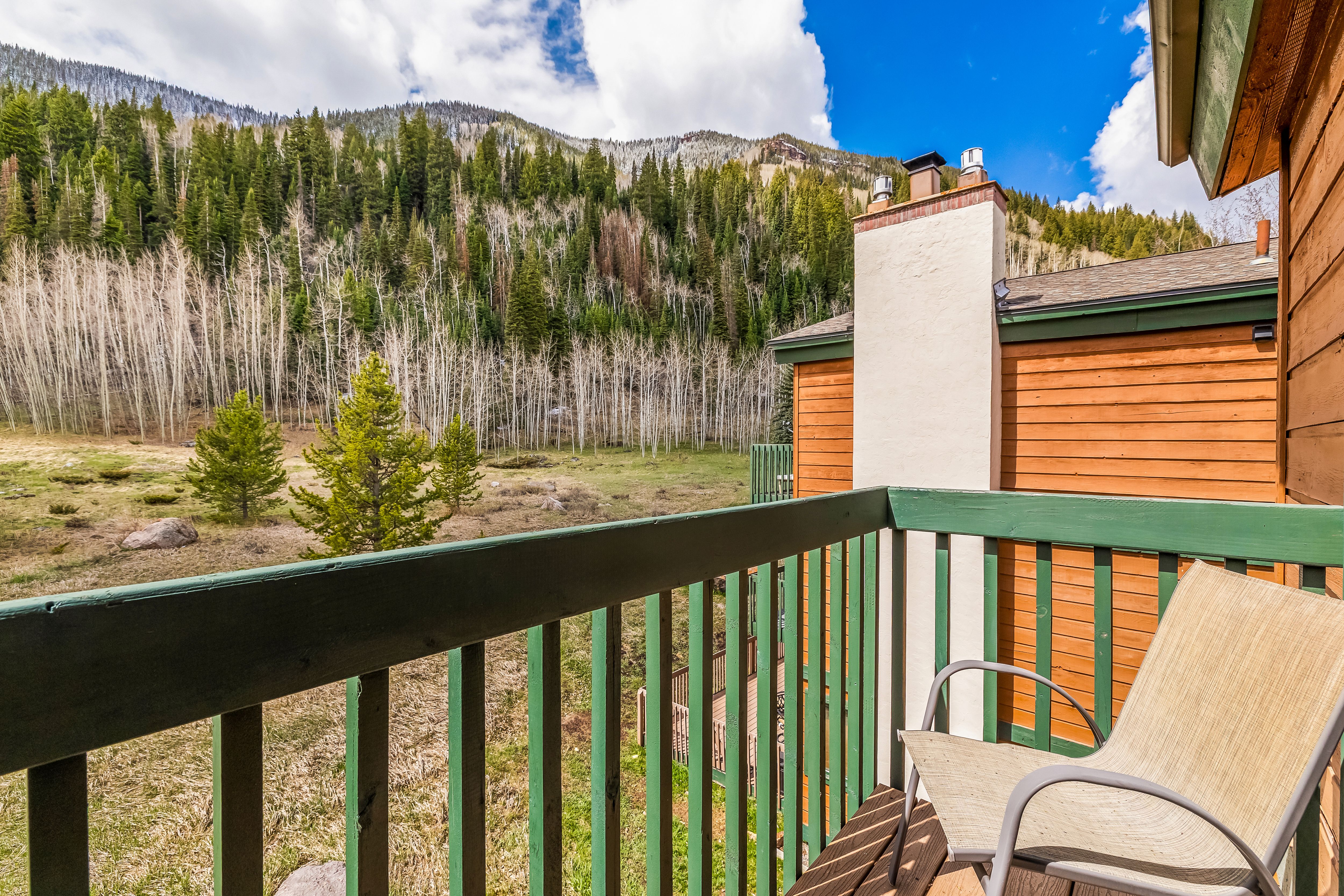  4514 Timber Falls Court, Vail, CO, 81657 - 物件實景