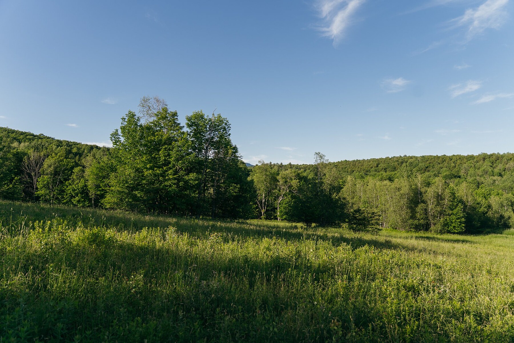  Sutton, Eastern Townships - 物件實景