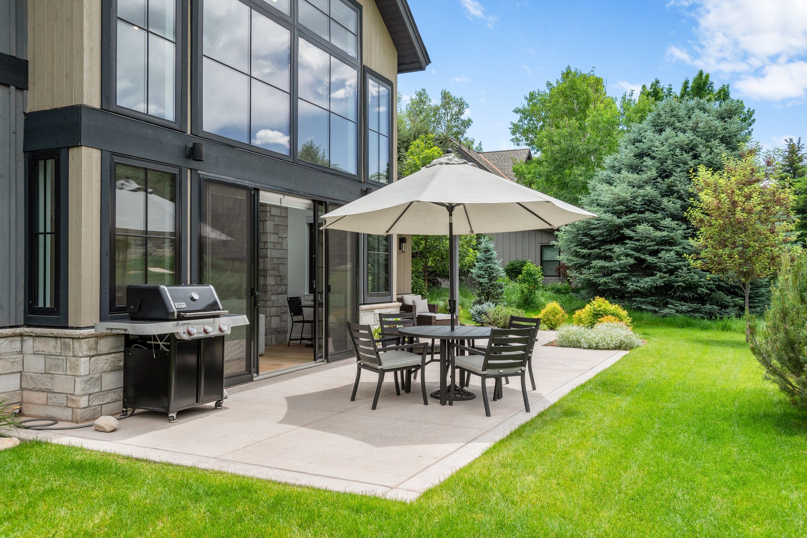  303 Golden Bear Drive, Carbondale, CO 81623 - 物件實景