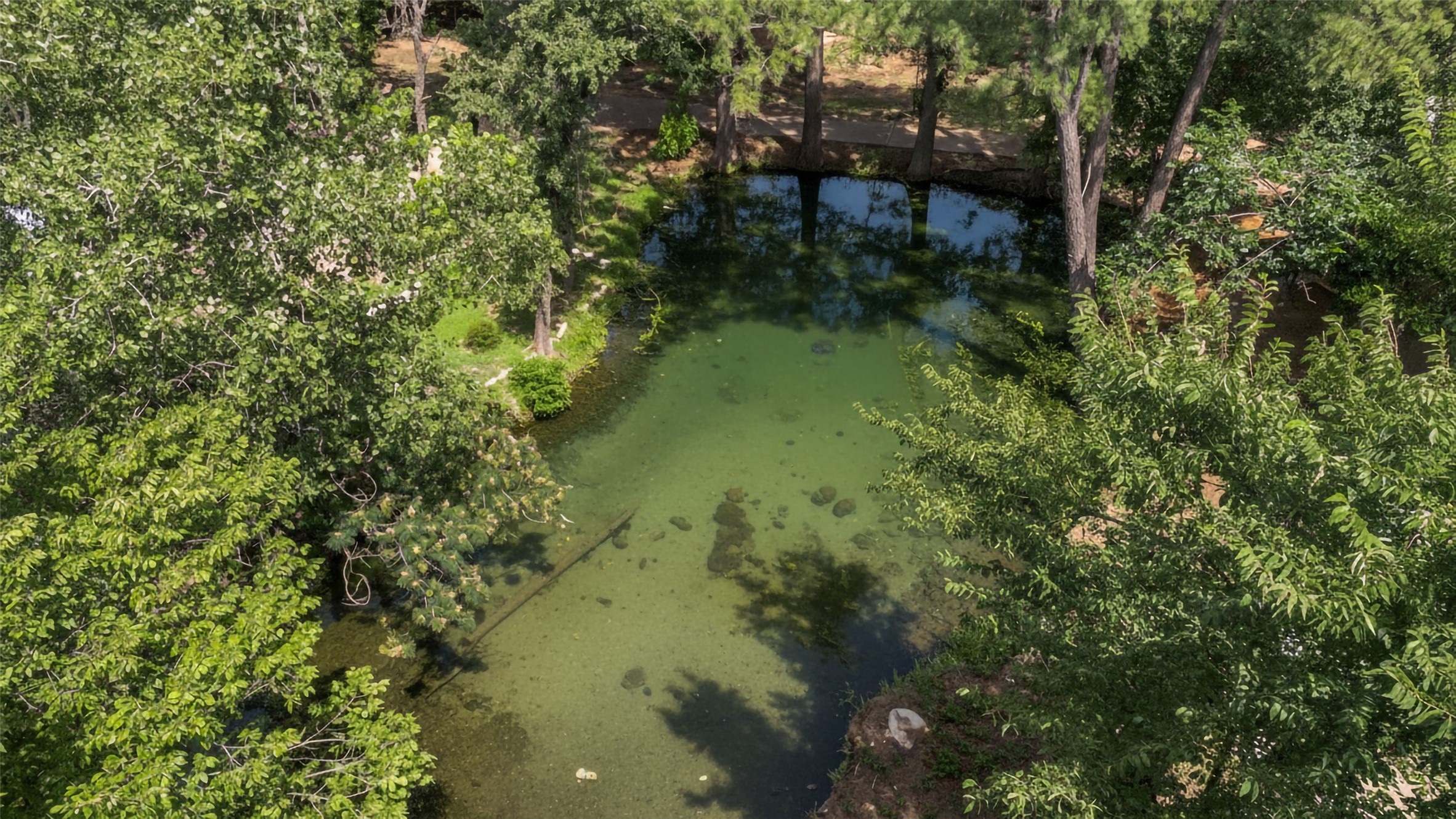 Arlington, Texas, 76017, United States, 3 Bedrooms Bedrooms, ,4 BathroomsBathrooms,Residential,For Sale,1934501