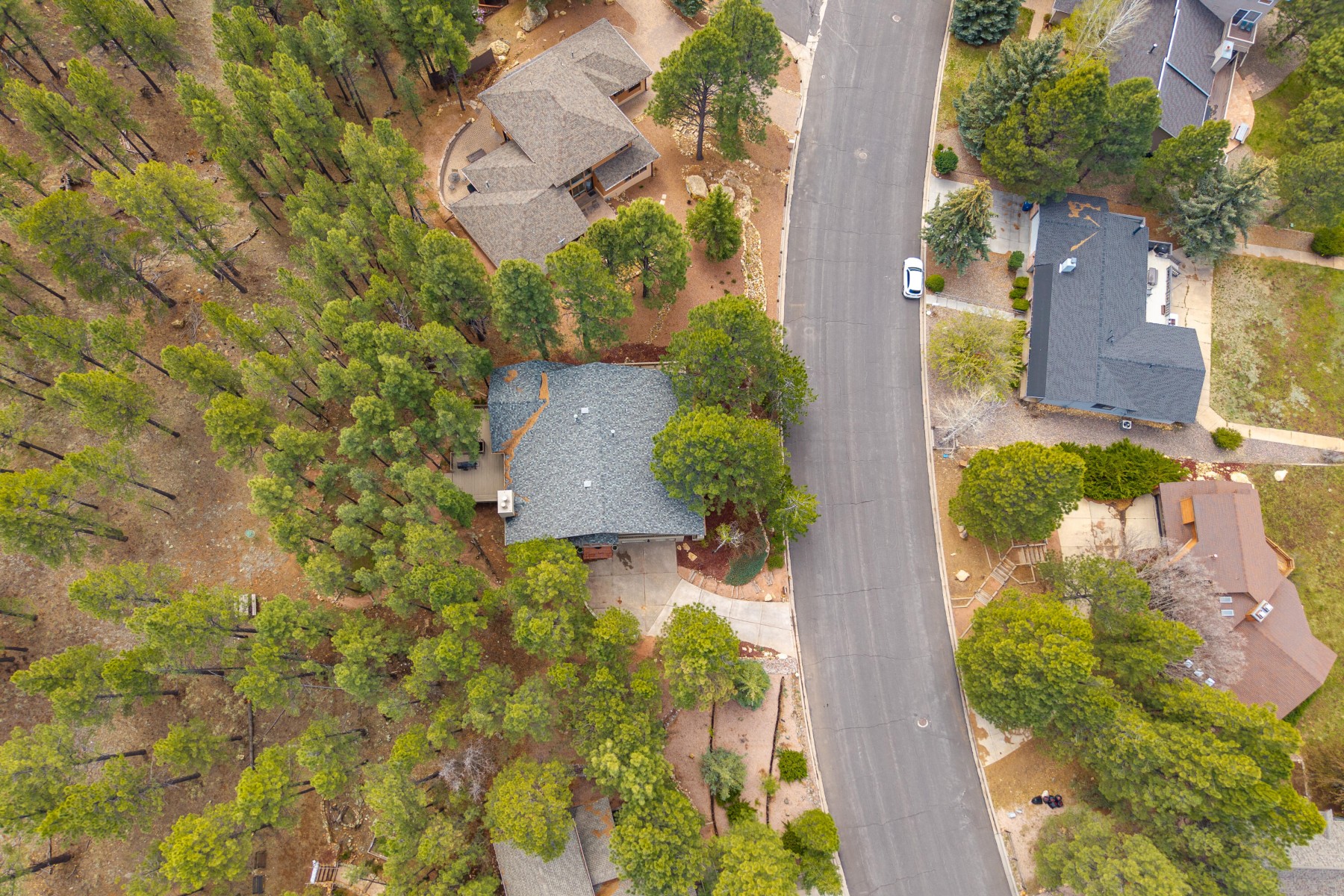  1426 N Edgewood Street¦Flagstaff, AZ - 物件實景
