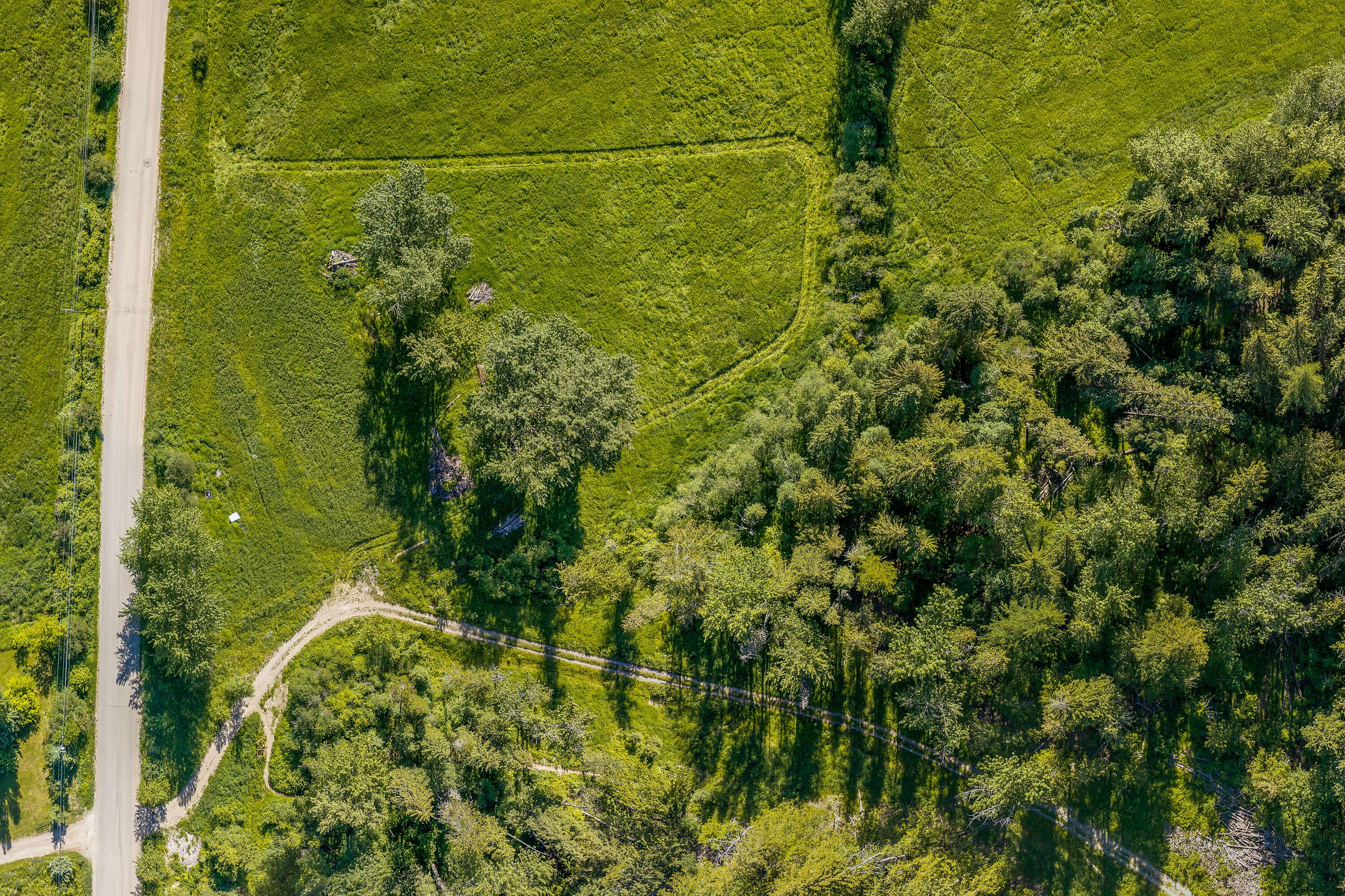  Fernie Acreage - 物件實景