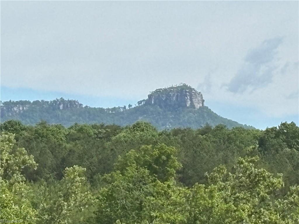 Pinnacle, North Carolina, 27043, United States, ,Land,For Sale,1829534