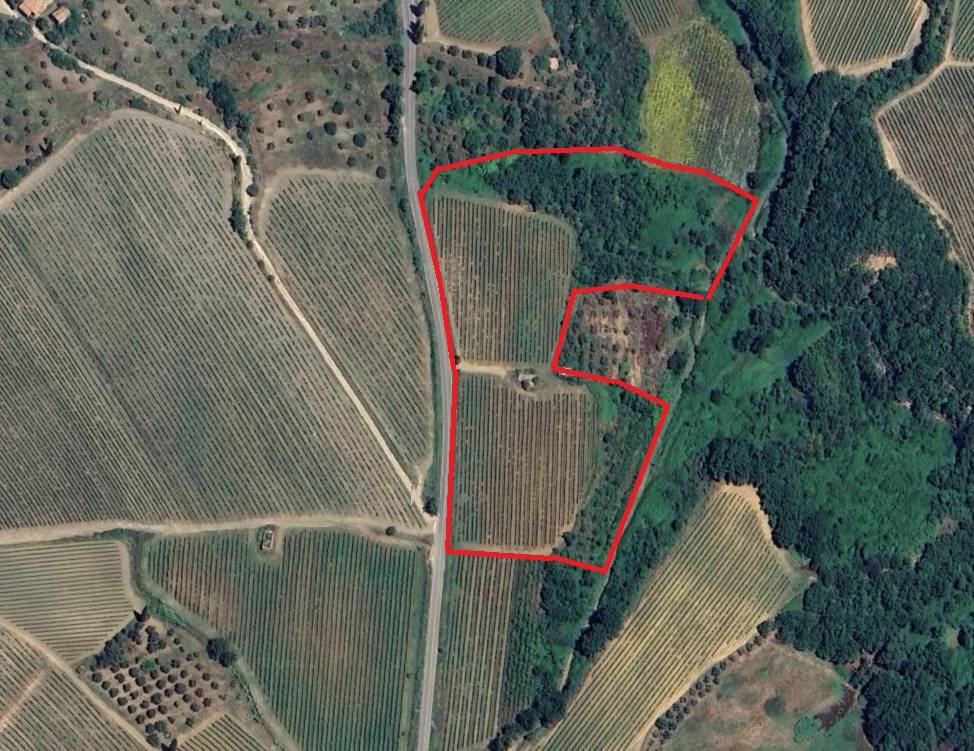 Montalcino, Siena, 53024, IT, ,Residential,For Sale,1991815