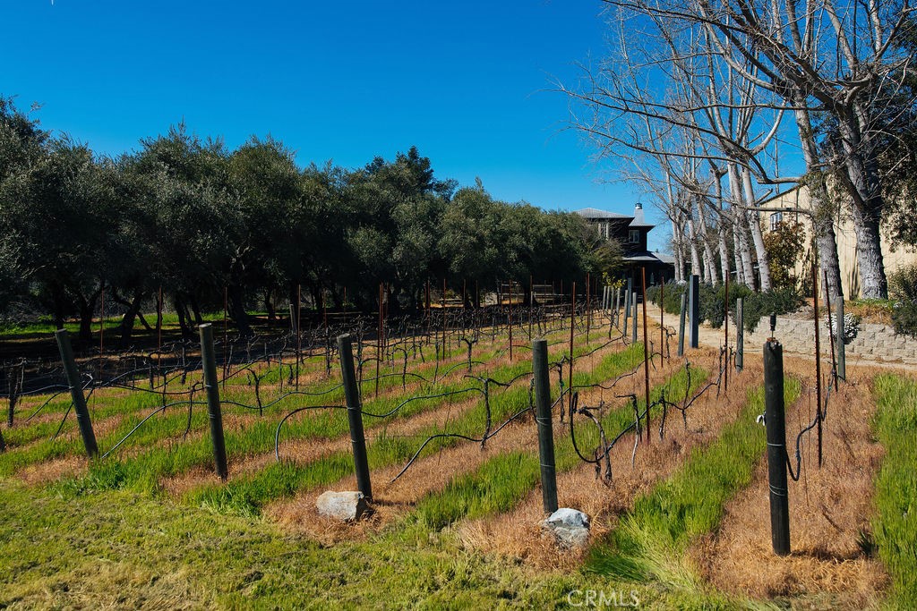 St. Helena, California, 94574, United States, 4 Bedrooms Bedrooms, ,3 BathroomsBathrooms,Residential,For Sale,1737795