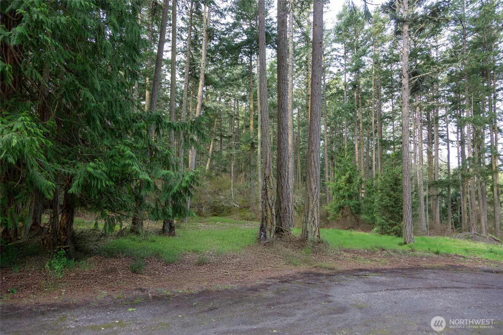 Friday Harbor, Washington, 98250, United States, ,Land,For Sale,1796697