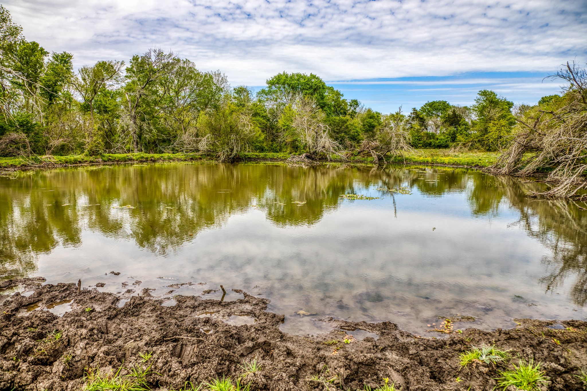 20751 Fm 1155, Washington, TX, 77880 - 物件實景