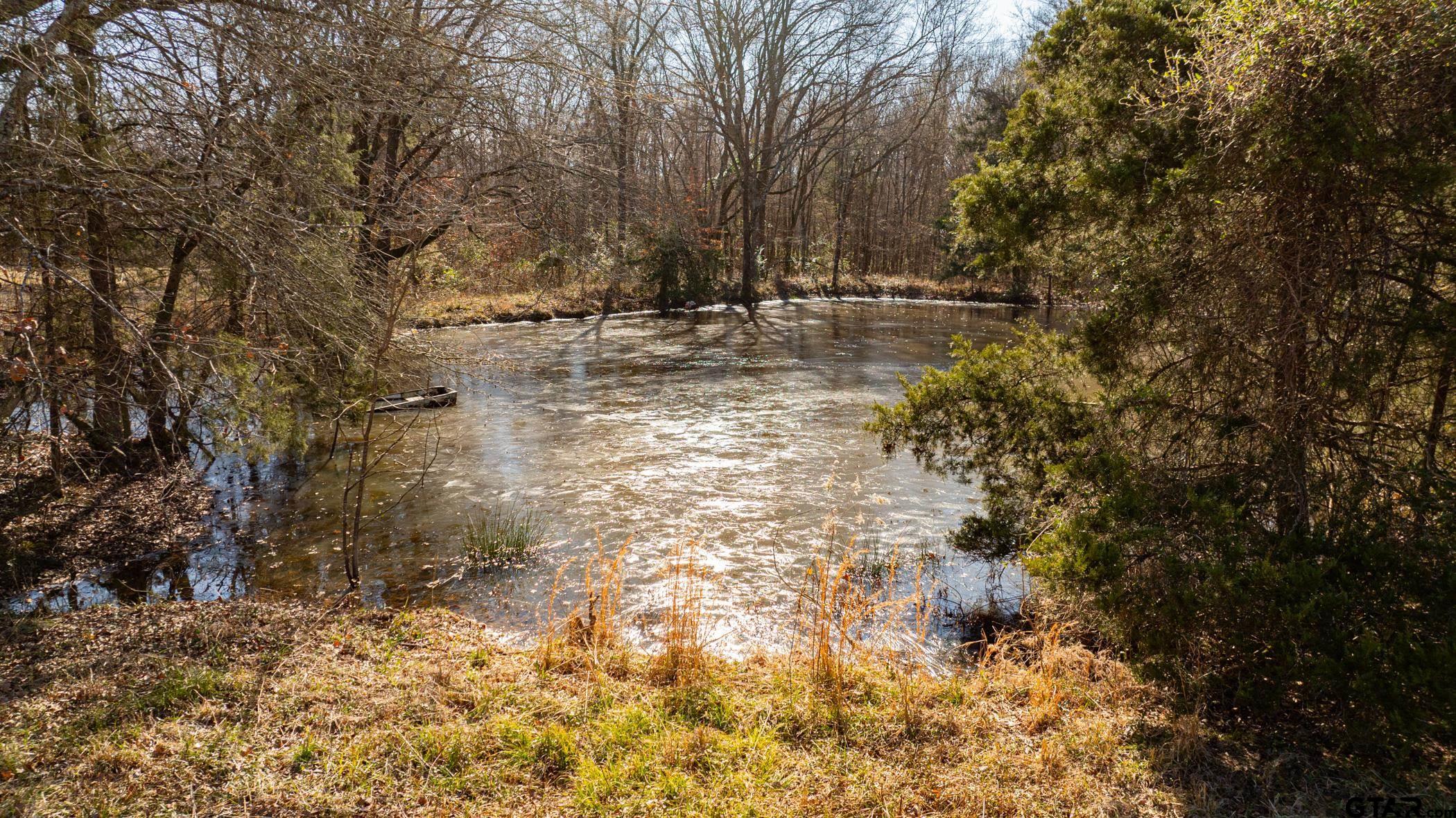 Dekalb, Texas, 75559, United States, ,Land,For Sale,1983481