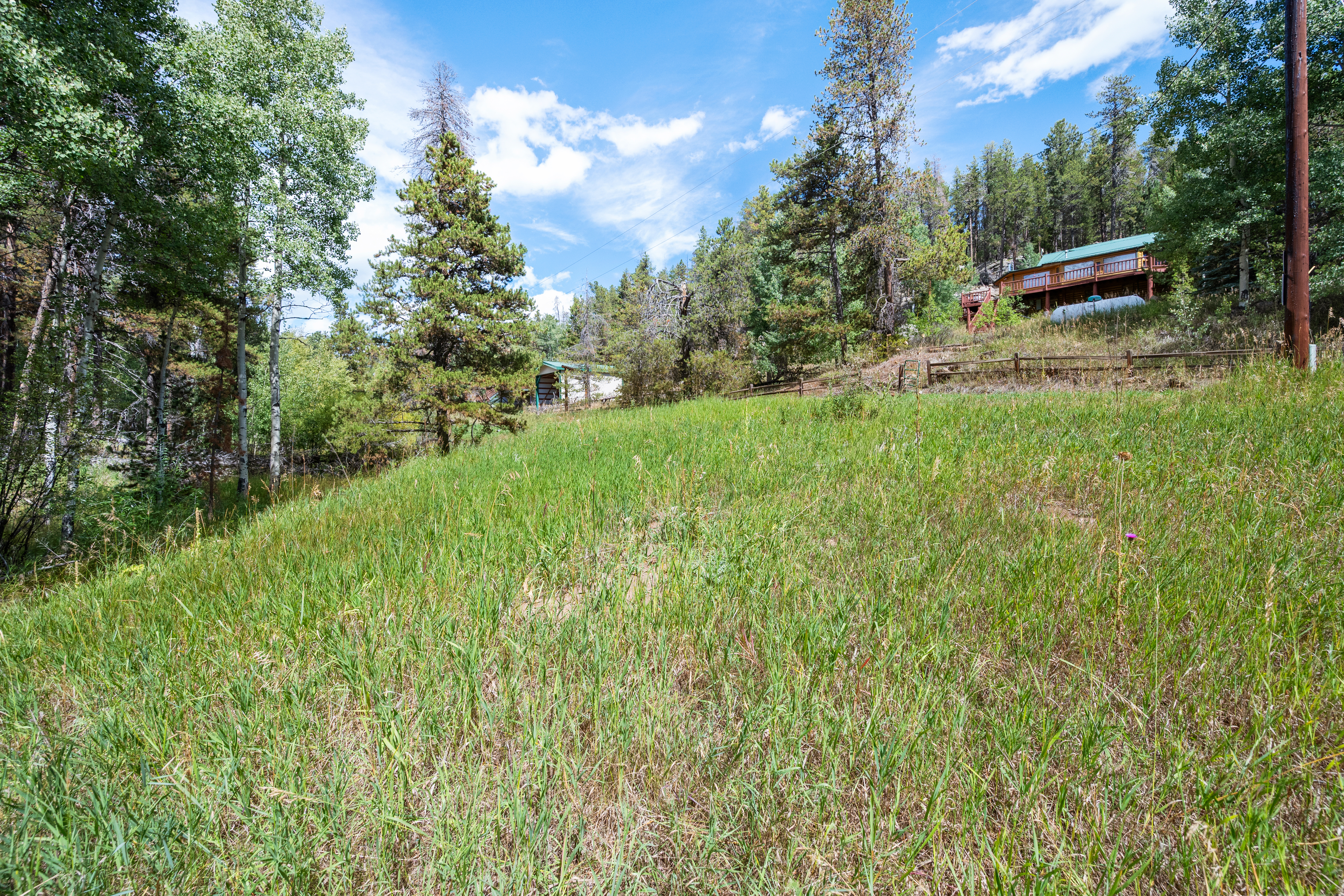  Secluded Conifer Mountain Lot Nestled in Trees with Stream & Wildlife - 物件實景