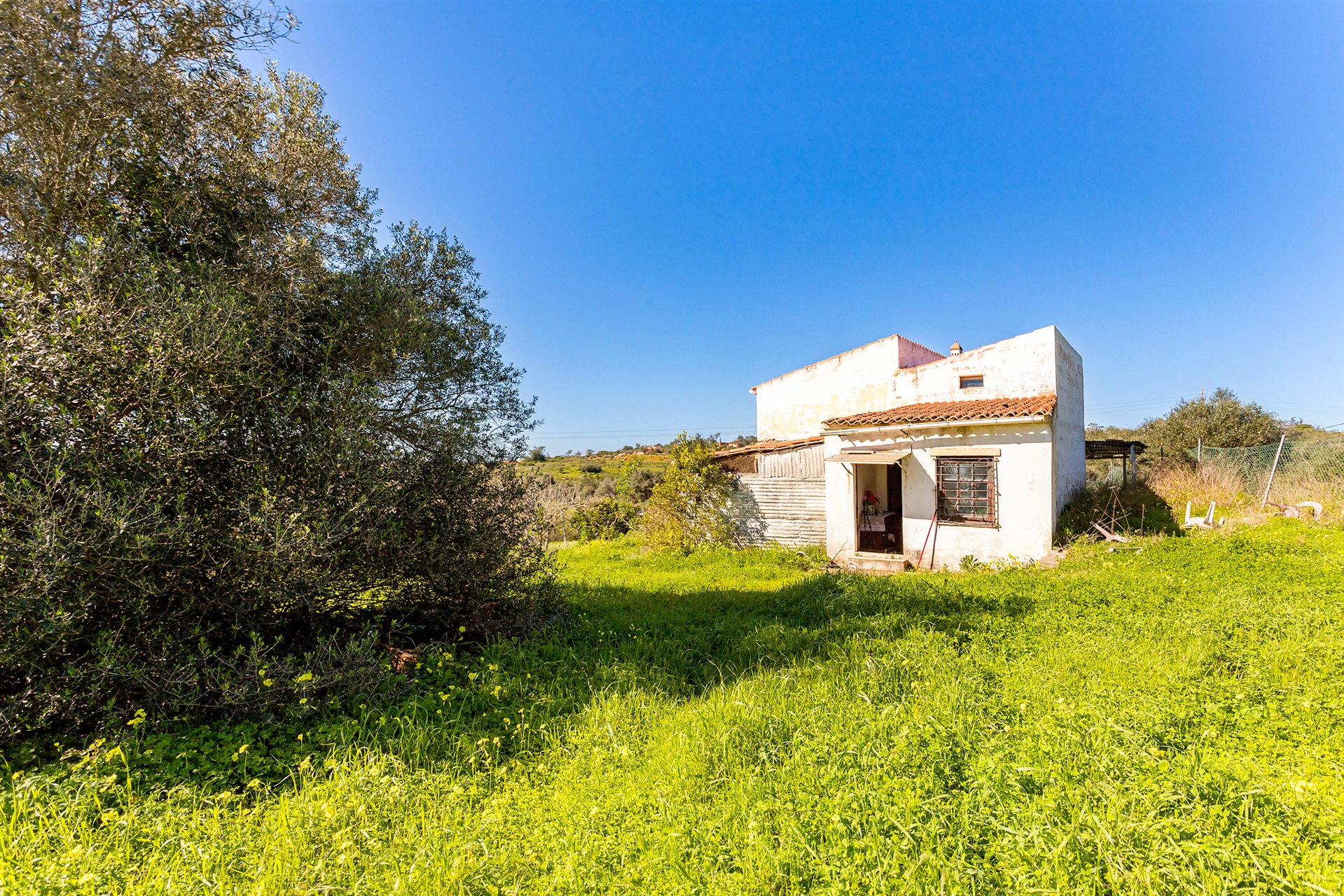  House for Sale - 物件實景