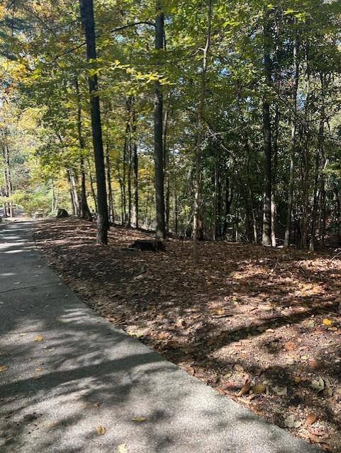 Atlanta, Georgia, 30327, United States, ,Land,For Sale,1988161