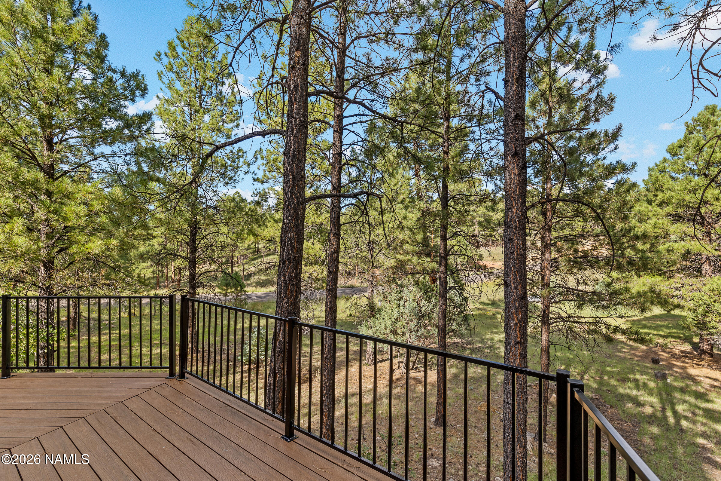  3579 Starlight Drive, Happy Jack, AZ 86024 - 物件實景